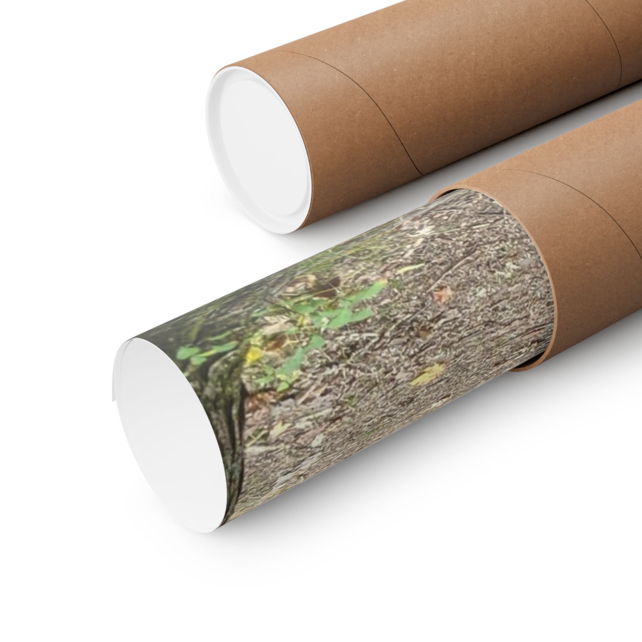 Forest Trail Matte Poster — Green Woodland Nature Photography