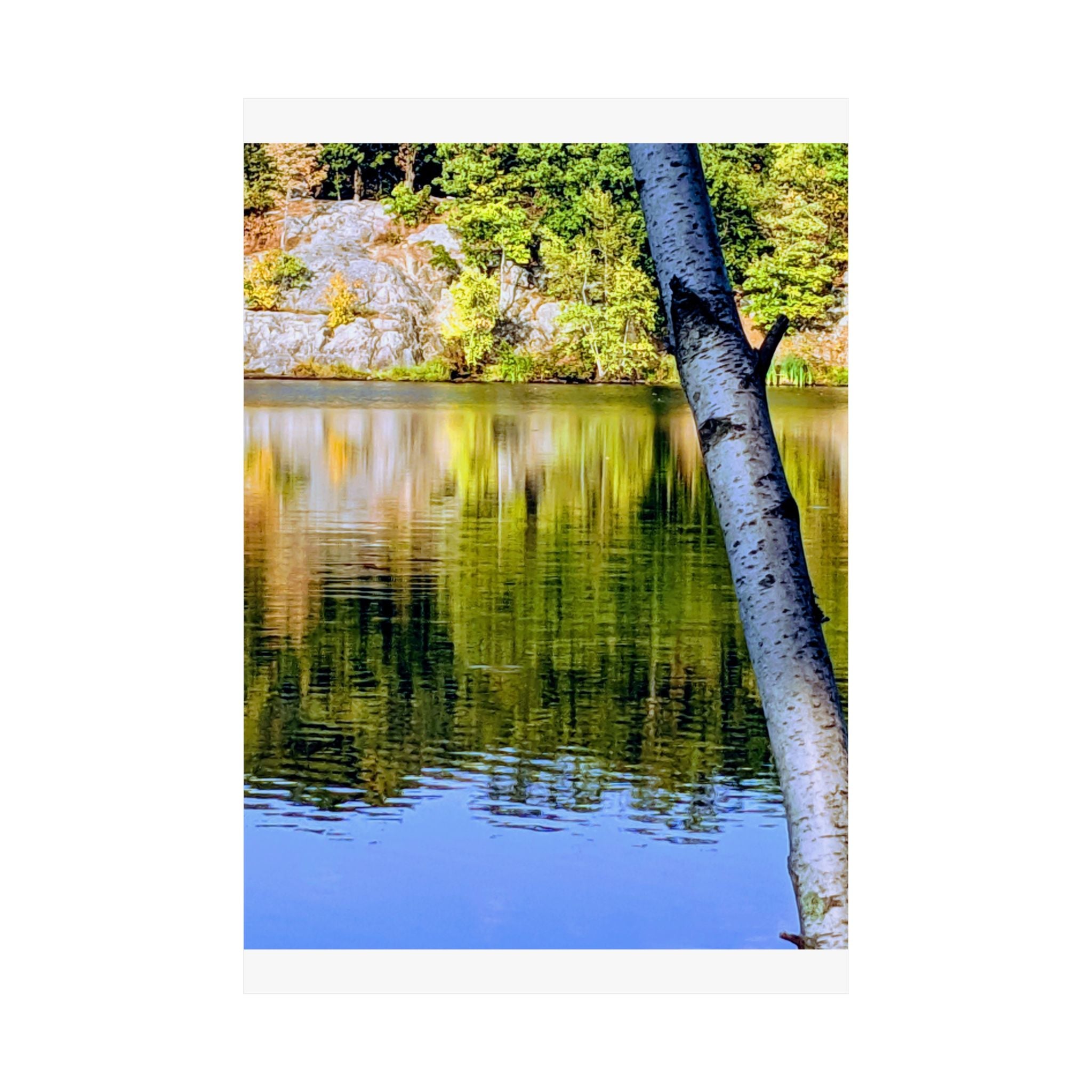 Birch Lake Reflection Matte Poster — Vertical Nature Wall Art