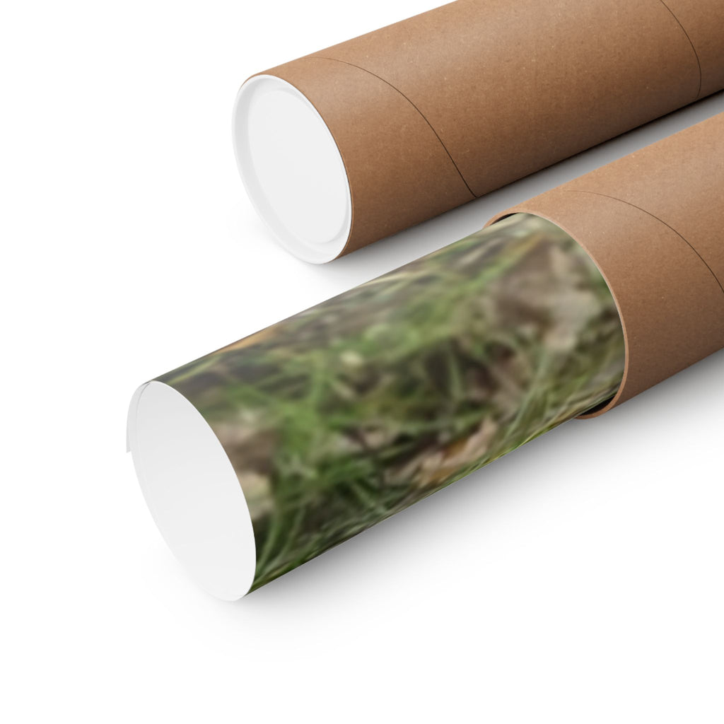 Forest Trail Matte Poster — Green Woodland Nature Photography Wall Art, Hiking Trail Print, 46 Sizes