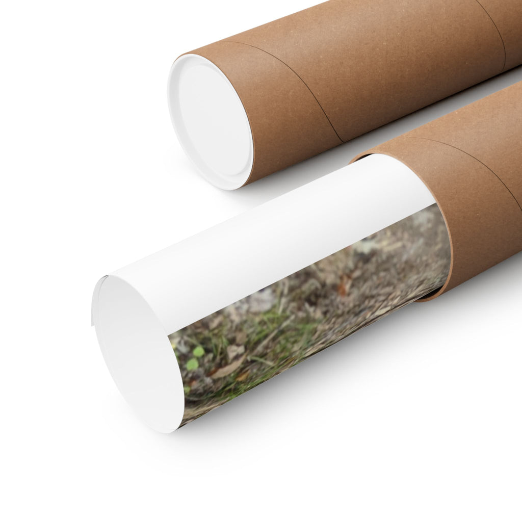 Forest Trail Matte Poster — Green Woodland Nature Photography
