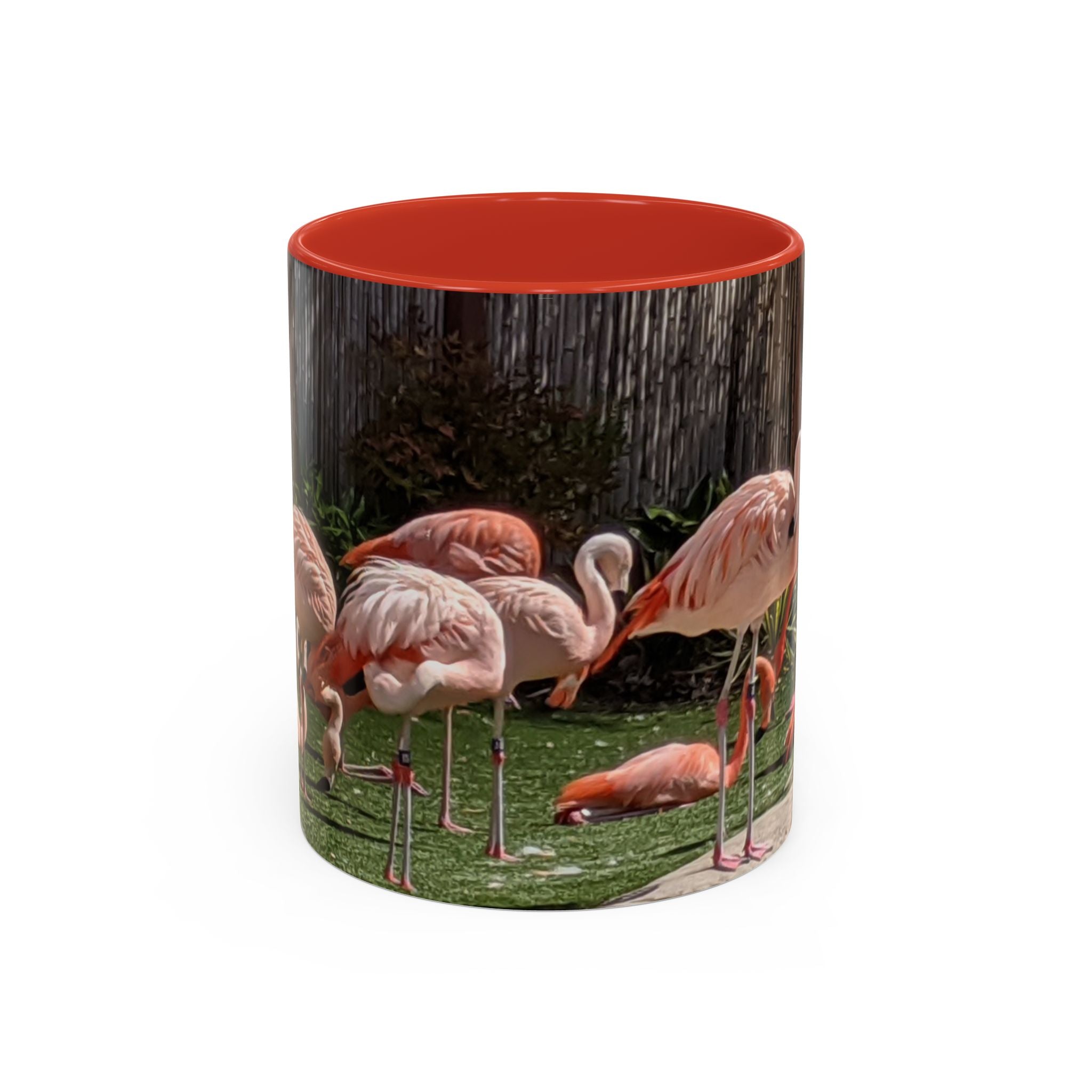 Flamingo Flock Accent Coffee Mug — Tropical Pink Bird Photo (11/15 oz)