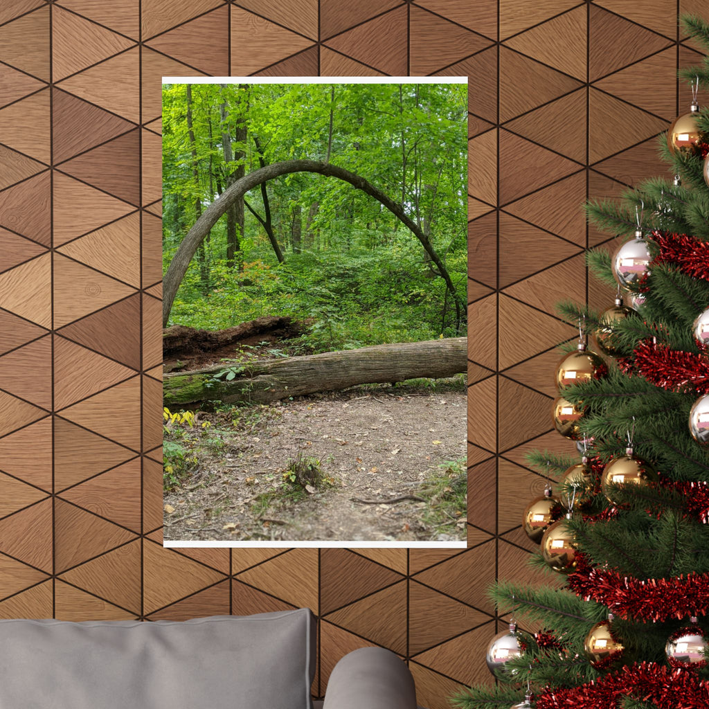 Forest Trail Matte Poster — Green Woodland Nature Photography Wall Art, Hiking Trail Print, 46 Sizes