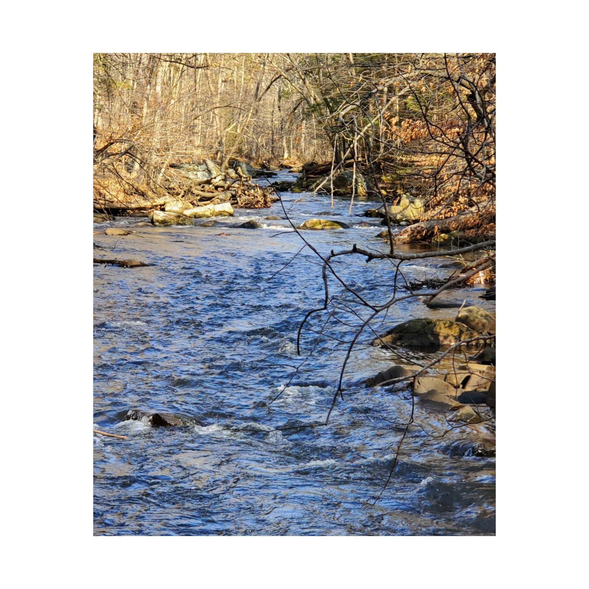 River Stream Nature Poster — Matte Vertical Wall Art for Home & Cabin Décor