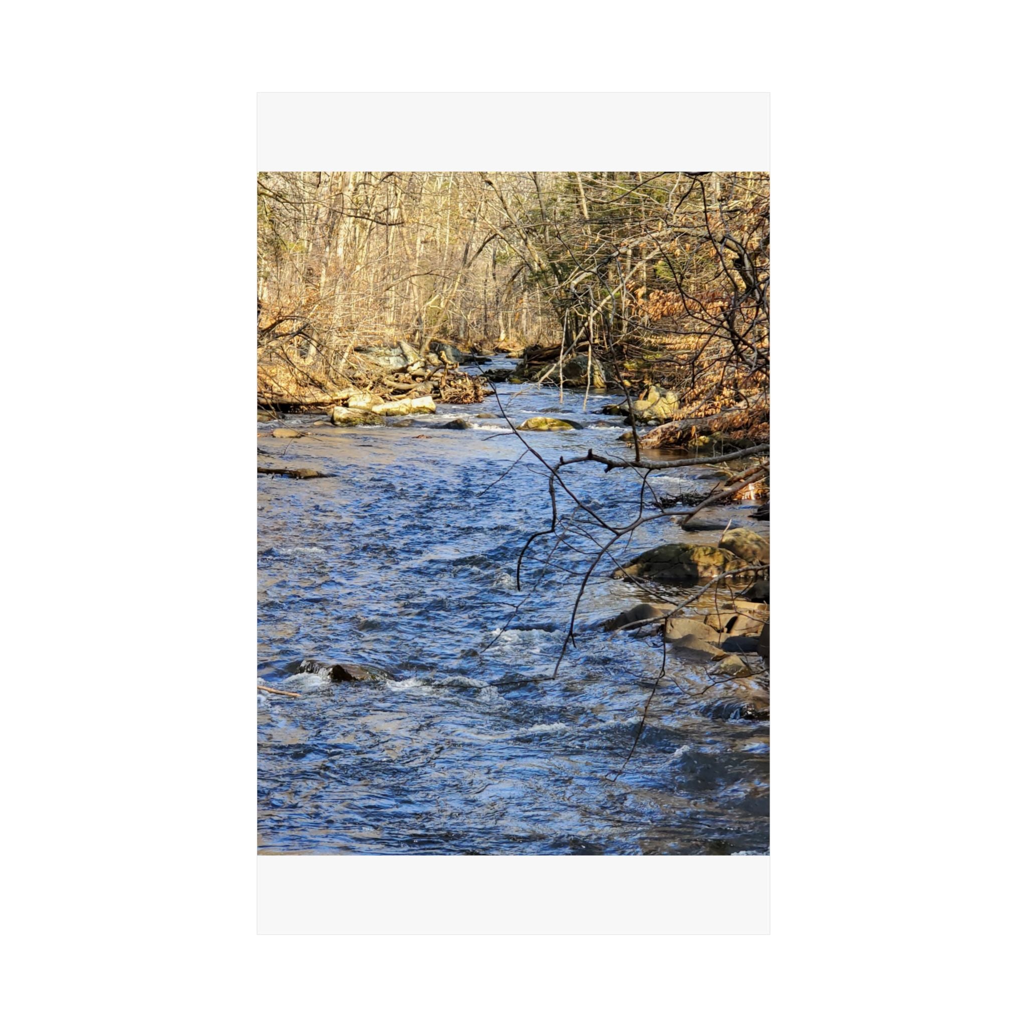 River Stream Nature Poster — Matte Vertical Wall Art for Home & Cabin Décor