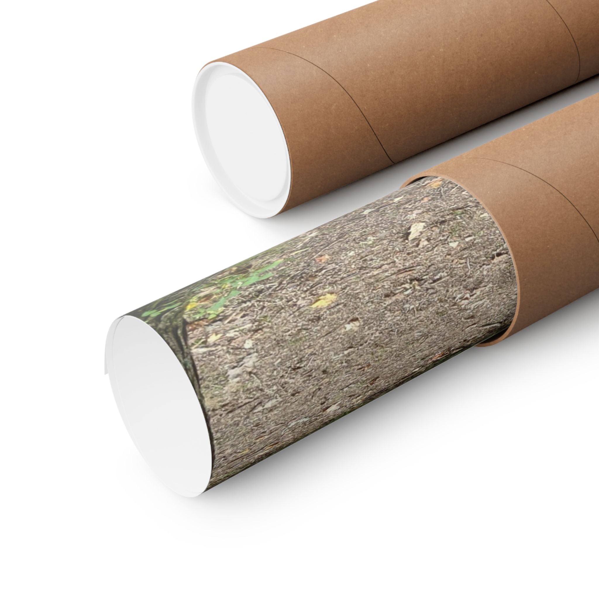 Forest Trail Matte Poster — Green Woodland Nature Photography