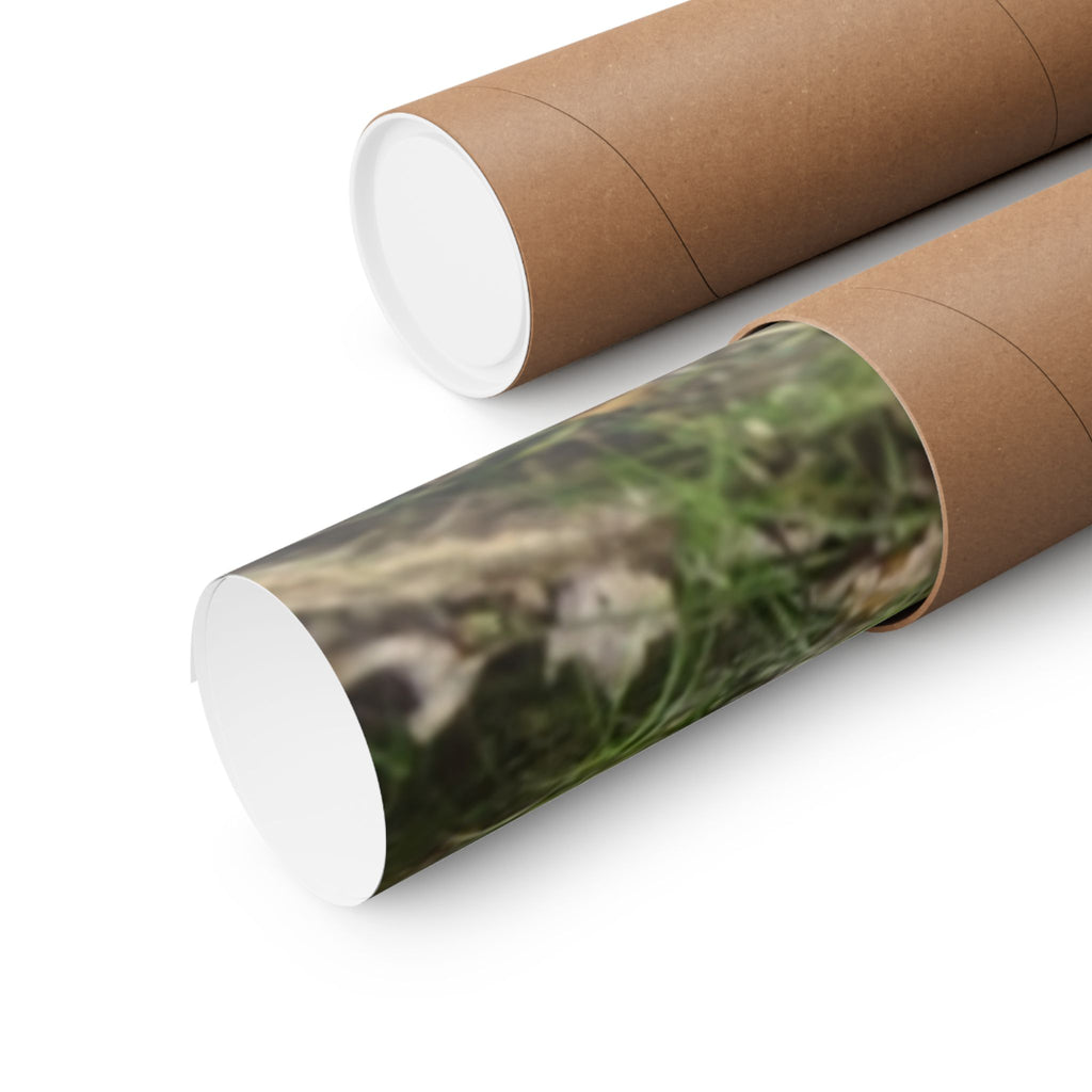 Forest Trail Matte Poster — Green Woodland Nature Photography