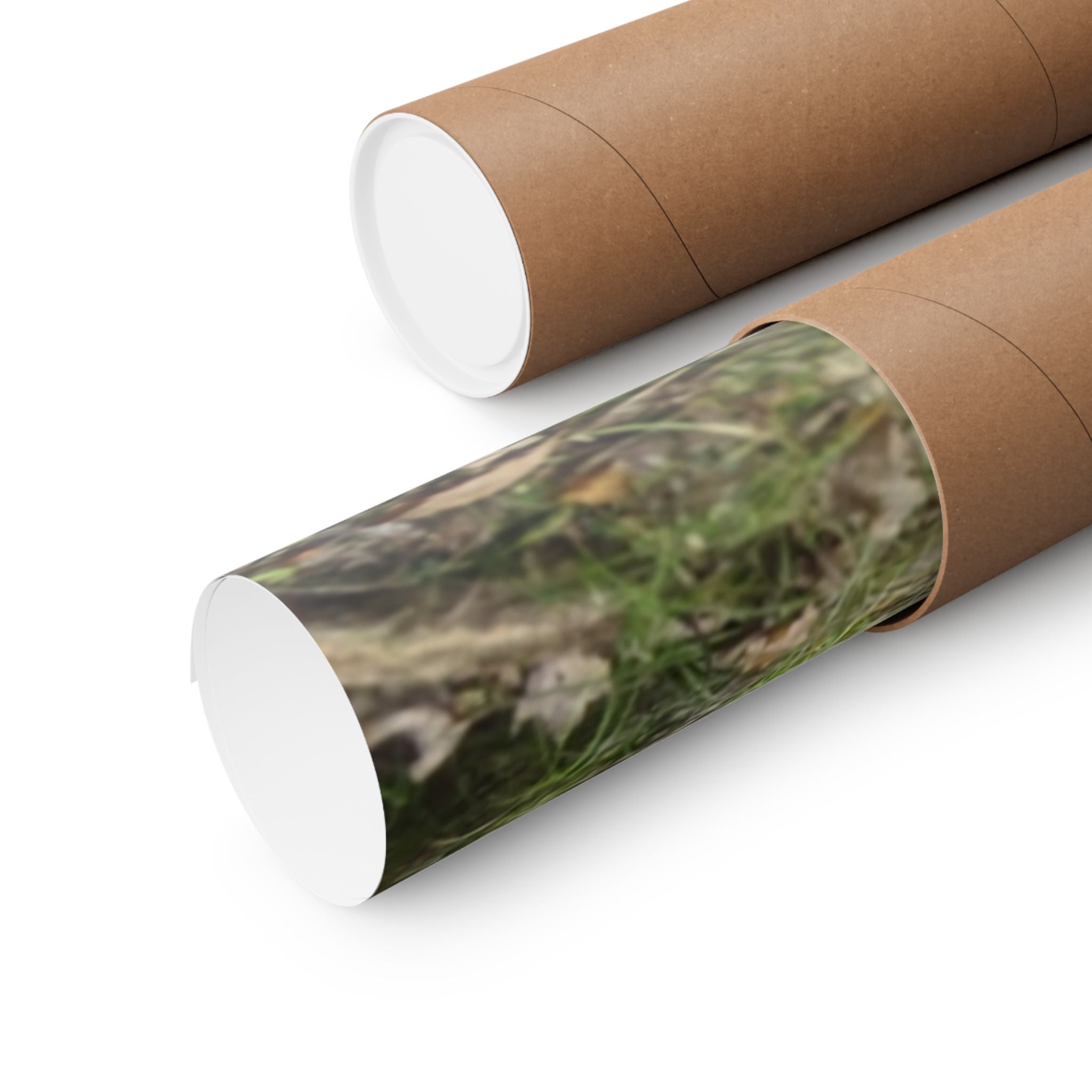 Forest Trail Matte Poster — Green Woodland Nature Photography