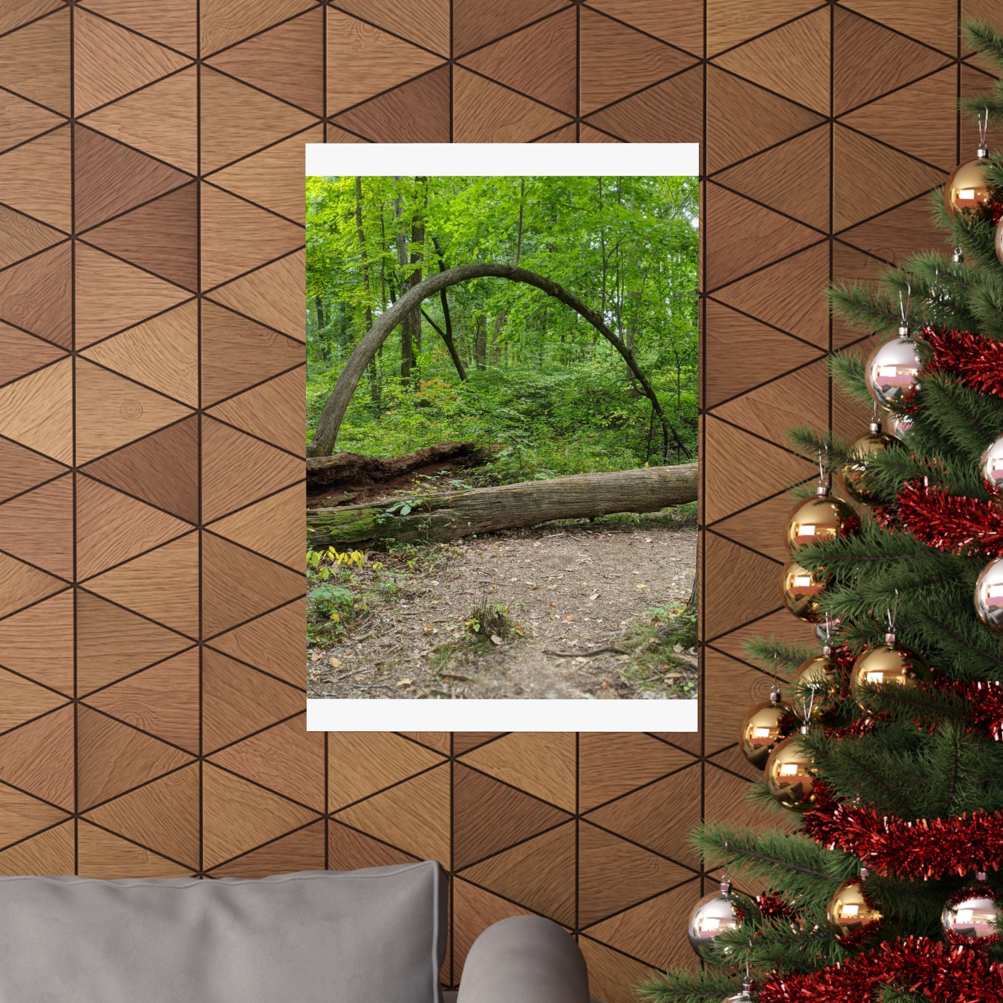 Forest Trail Matte Poster — Green Woodland Nature Photography