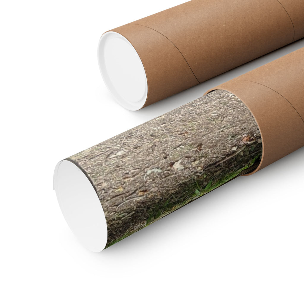 Forest Trail Matte Poster — Green Woodland Nature Photography