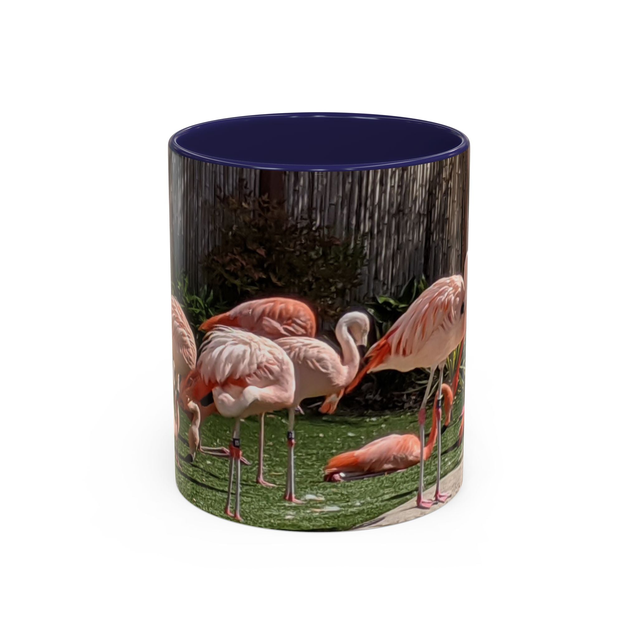 Flamingo Flock Accent Coffee Mug — Tropical Pink Bird Photo (11/15 oz)