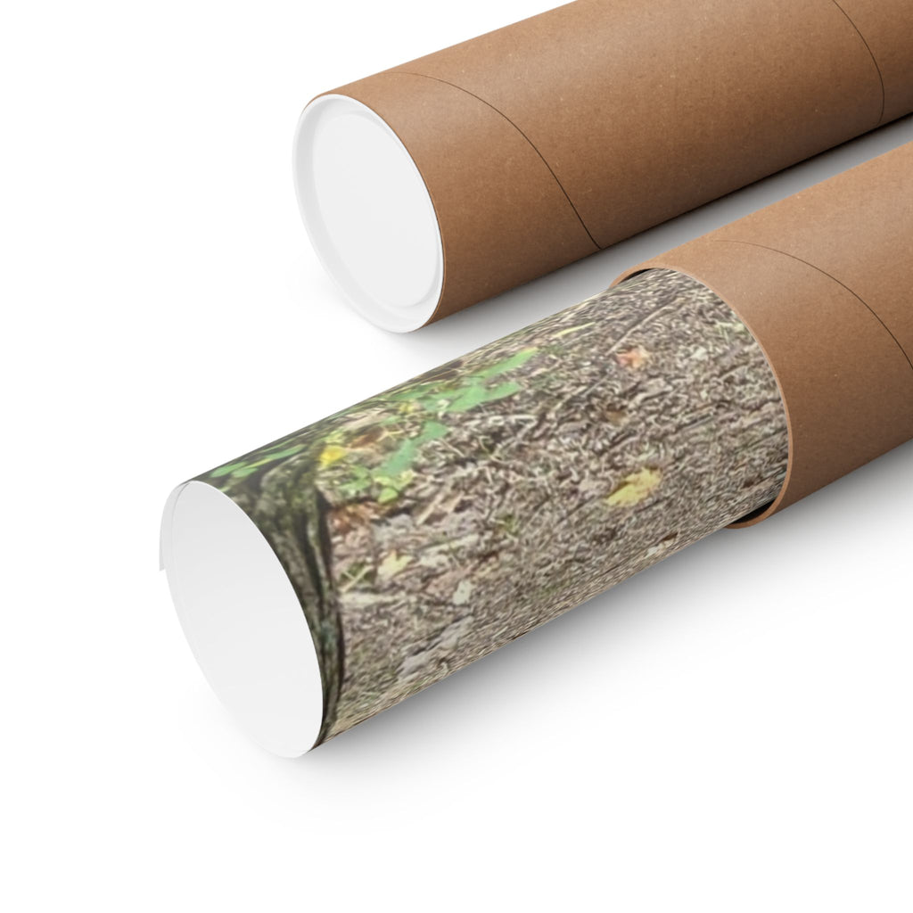 Forest Trail Matte Poster — Green Woodland Nature Photography