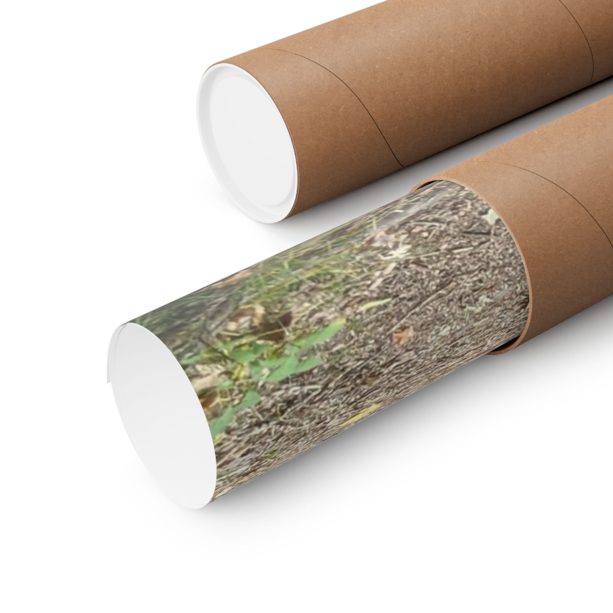 Forest Trail Matte Poster — Green Woodland Nature Photography