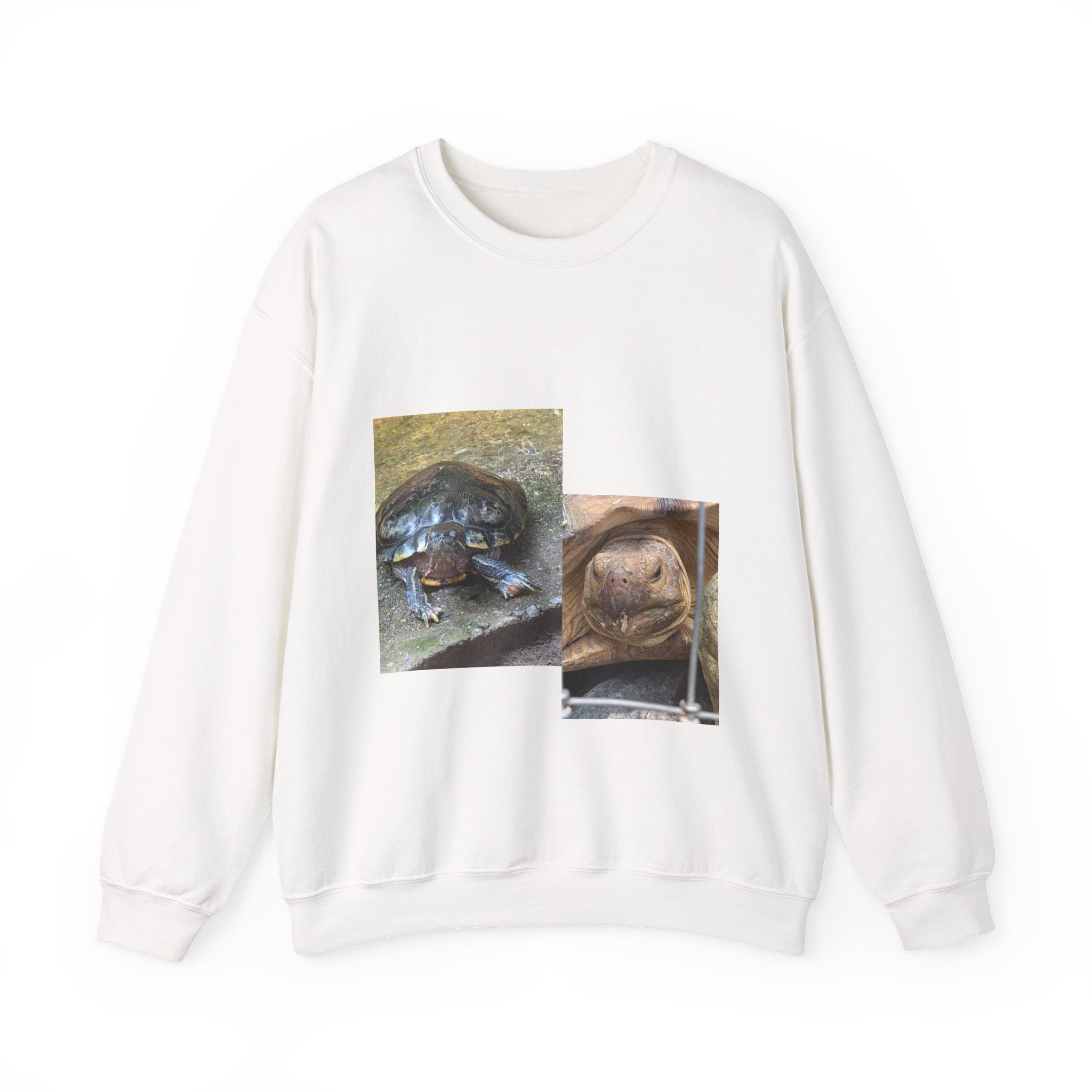 Turtle Photo Crewneck Sweatshirt – Cute Turtle Face Collage Pullover