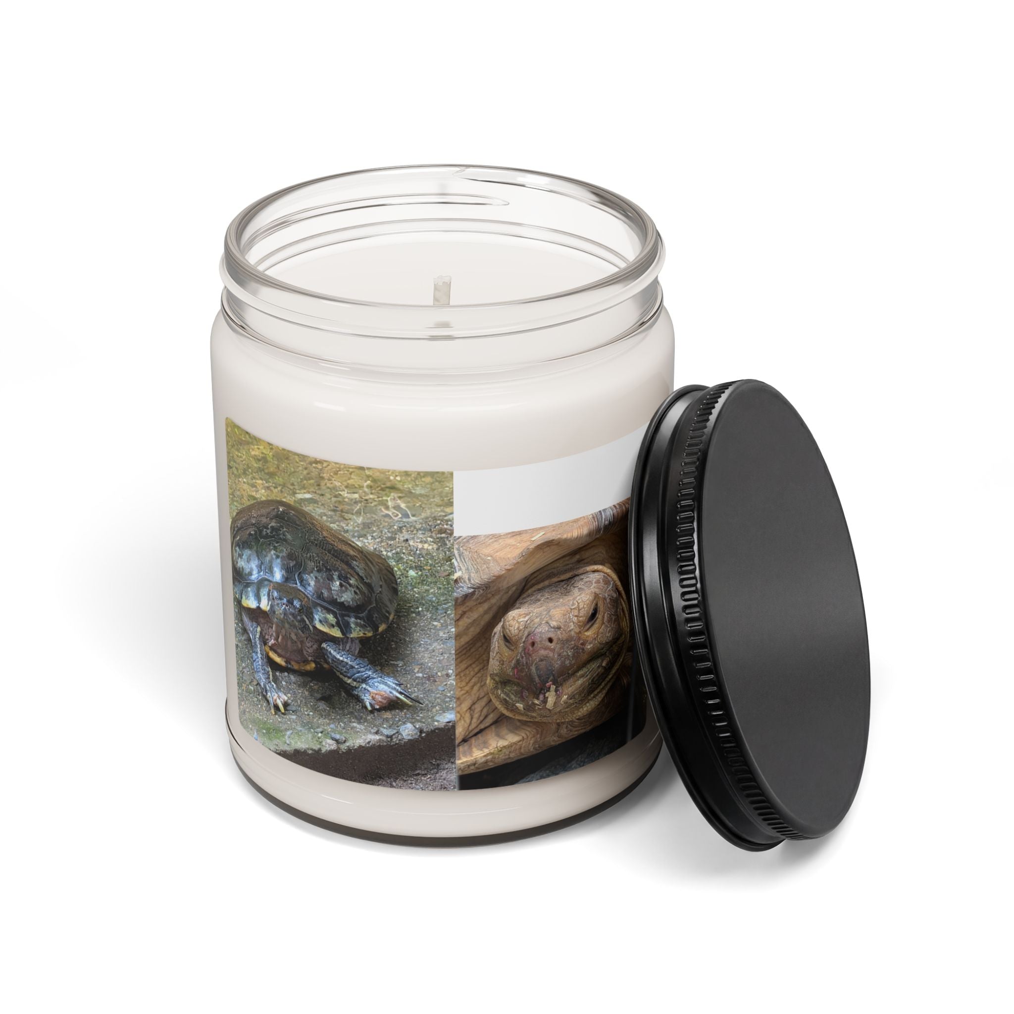 Turtle Photo Soy Candle — 9oz Scented Jar (Tortoise Image)