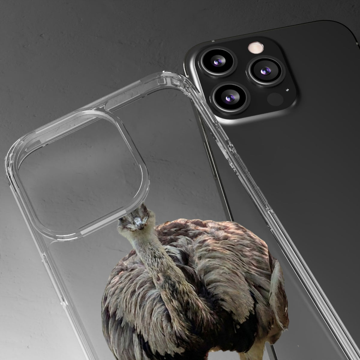 Clear Emu Bird iPhone Case — Cute Wildlife Nature Photo Design, Impact-Resistant Clear Phone Cover, Bird Lover Gift