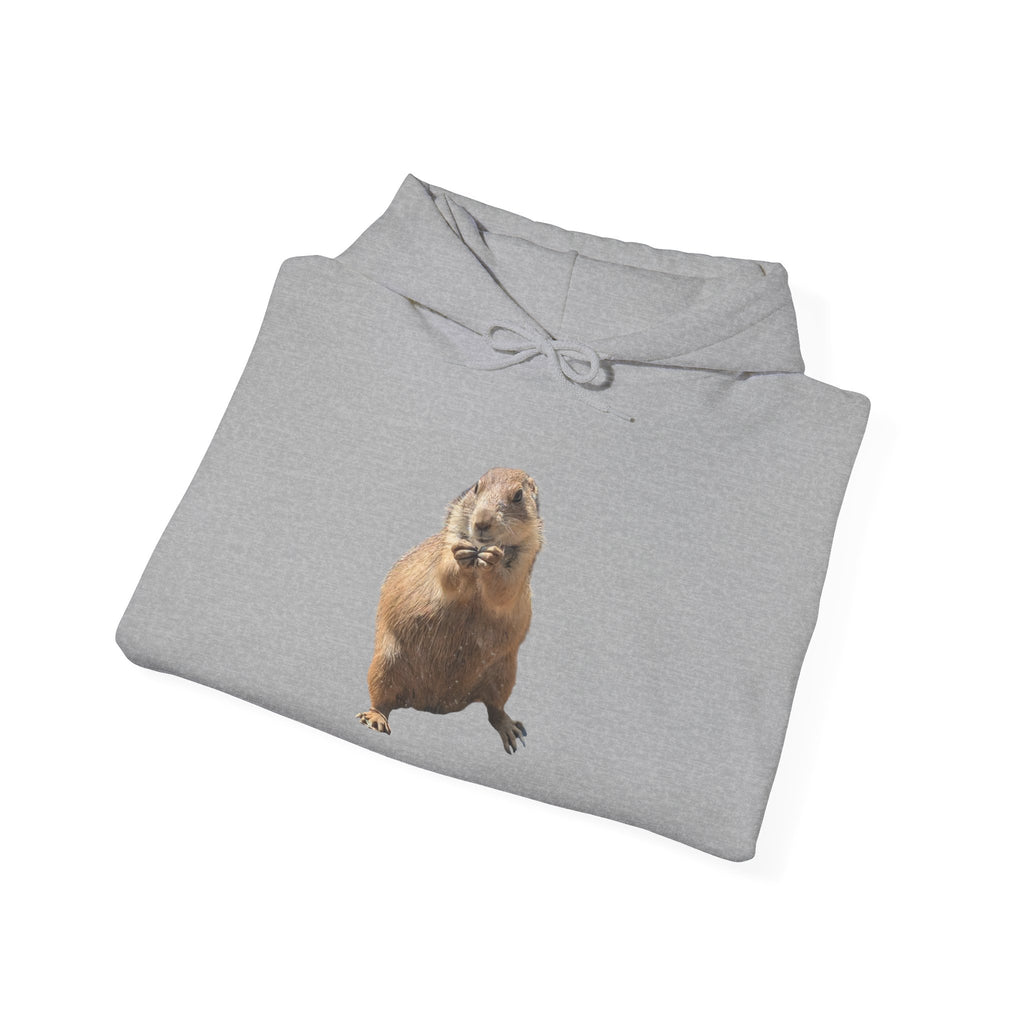 Quokka Photo Hoodie — Cute Quokka Face Graphic Pullover