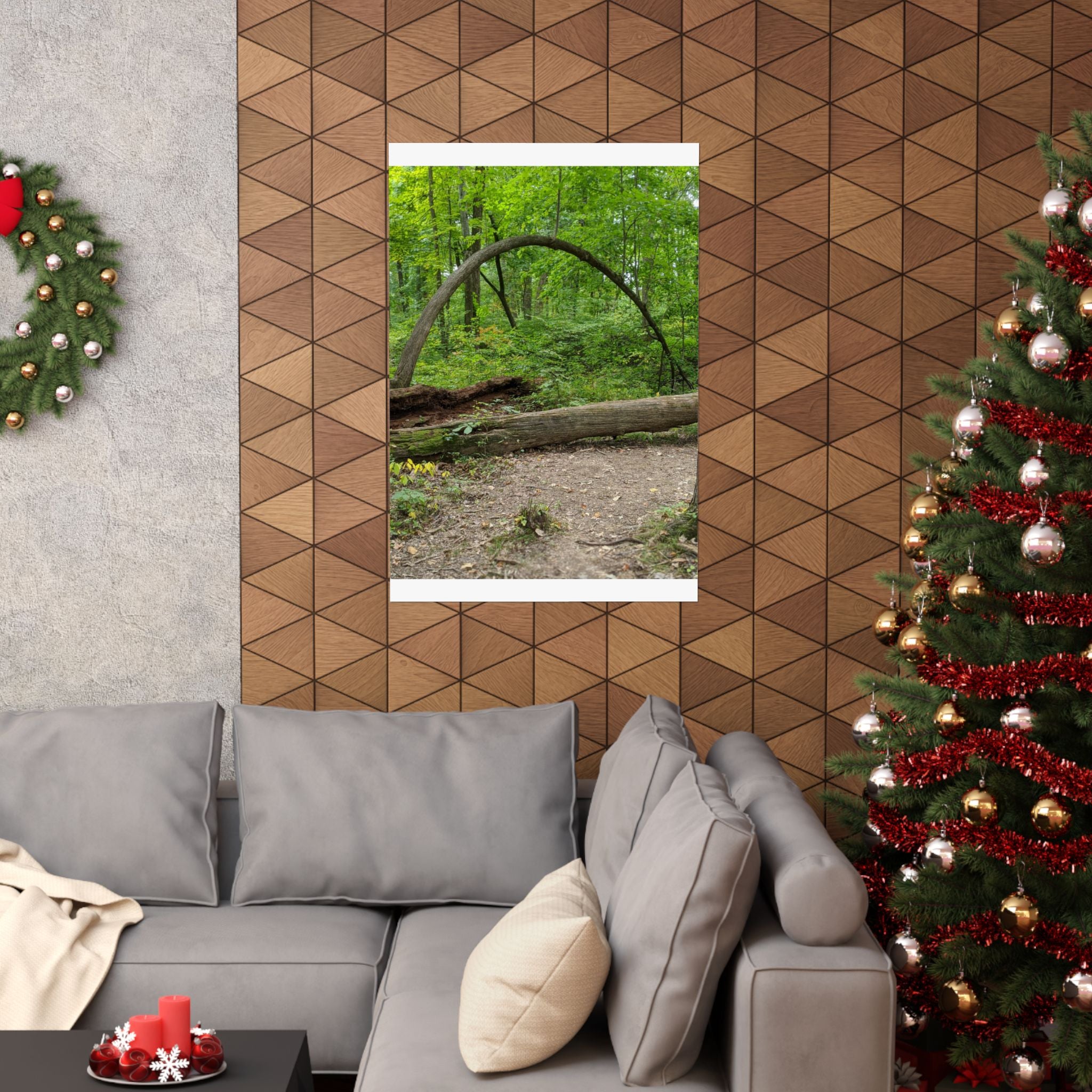 Forest Trail Matte Poster — Green Woodland Nature Photography