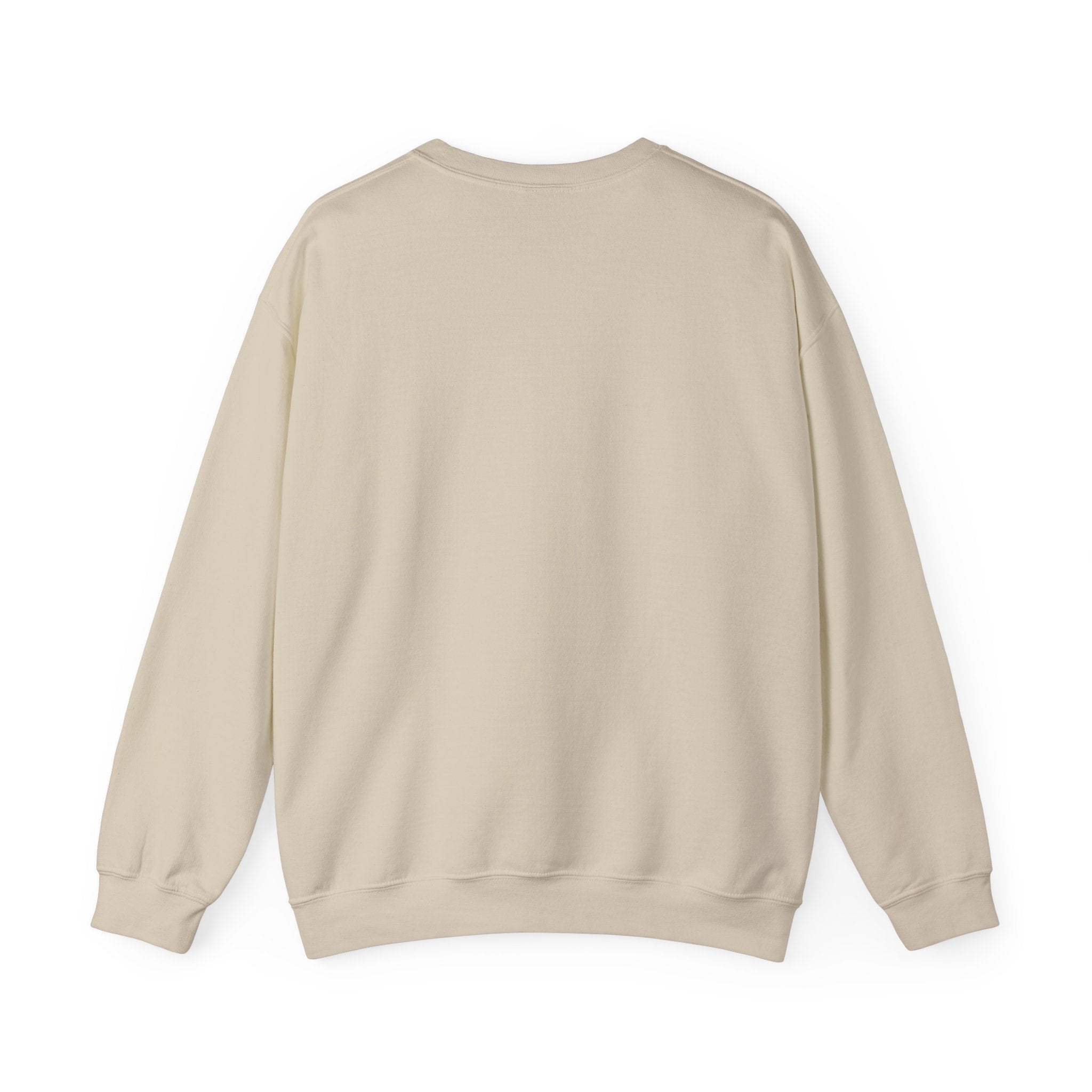 Turtle Photo Crewneck Sweatshirt – Cute Turtle Face Collage Pullover