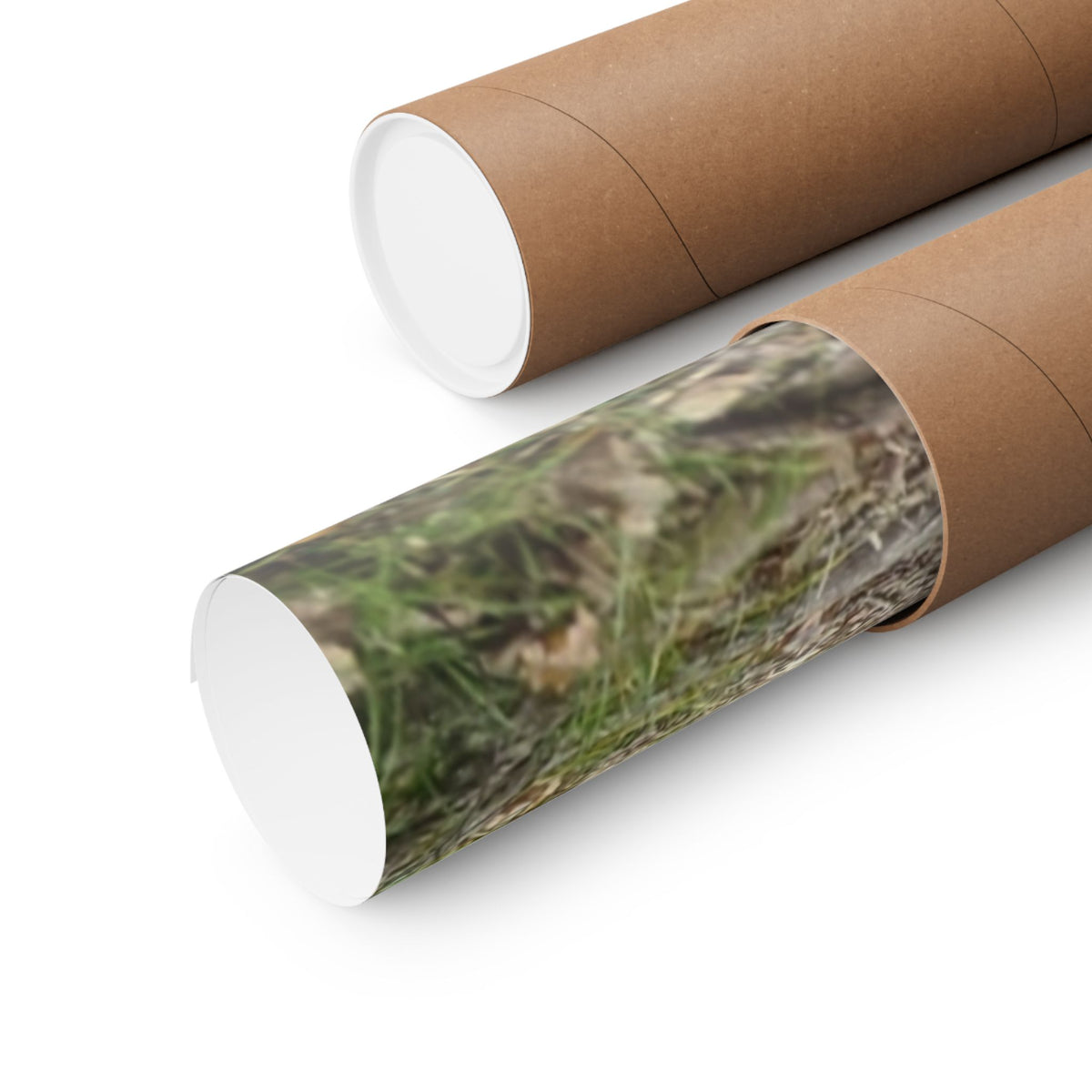 Forest Trail Matte Poster — Green Woodland Nature Photography Wall Art, Hiking Trail Print, 46 Sizes