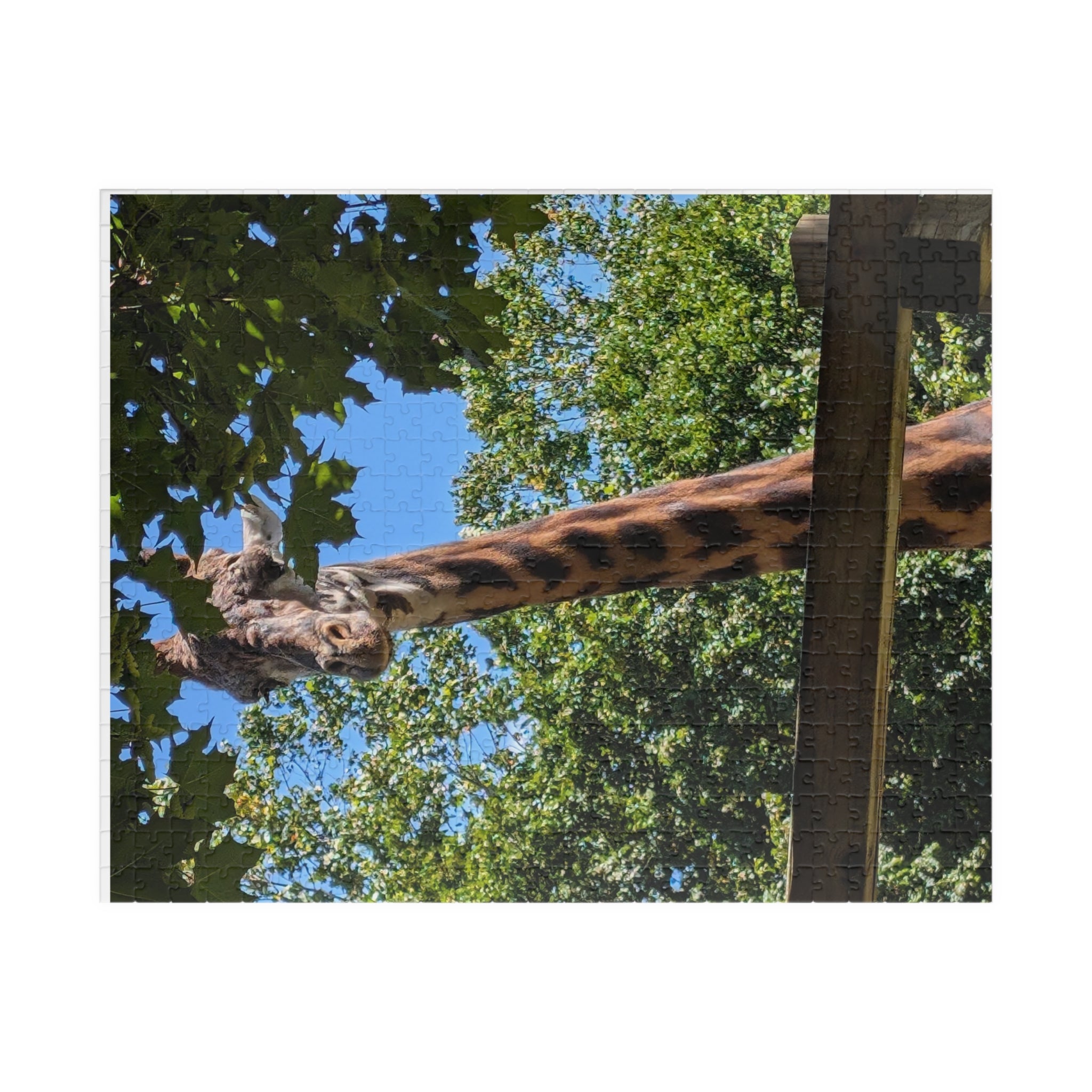 Giraffe Nature Photo Jigsaw Puzzle — Wildlife & Floral Photography Gift Set (110, 252, 520, 1014-piece)