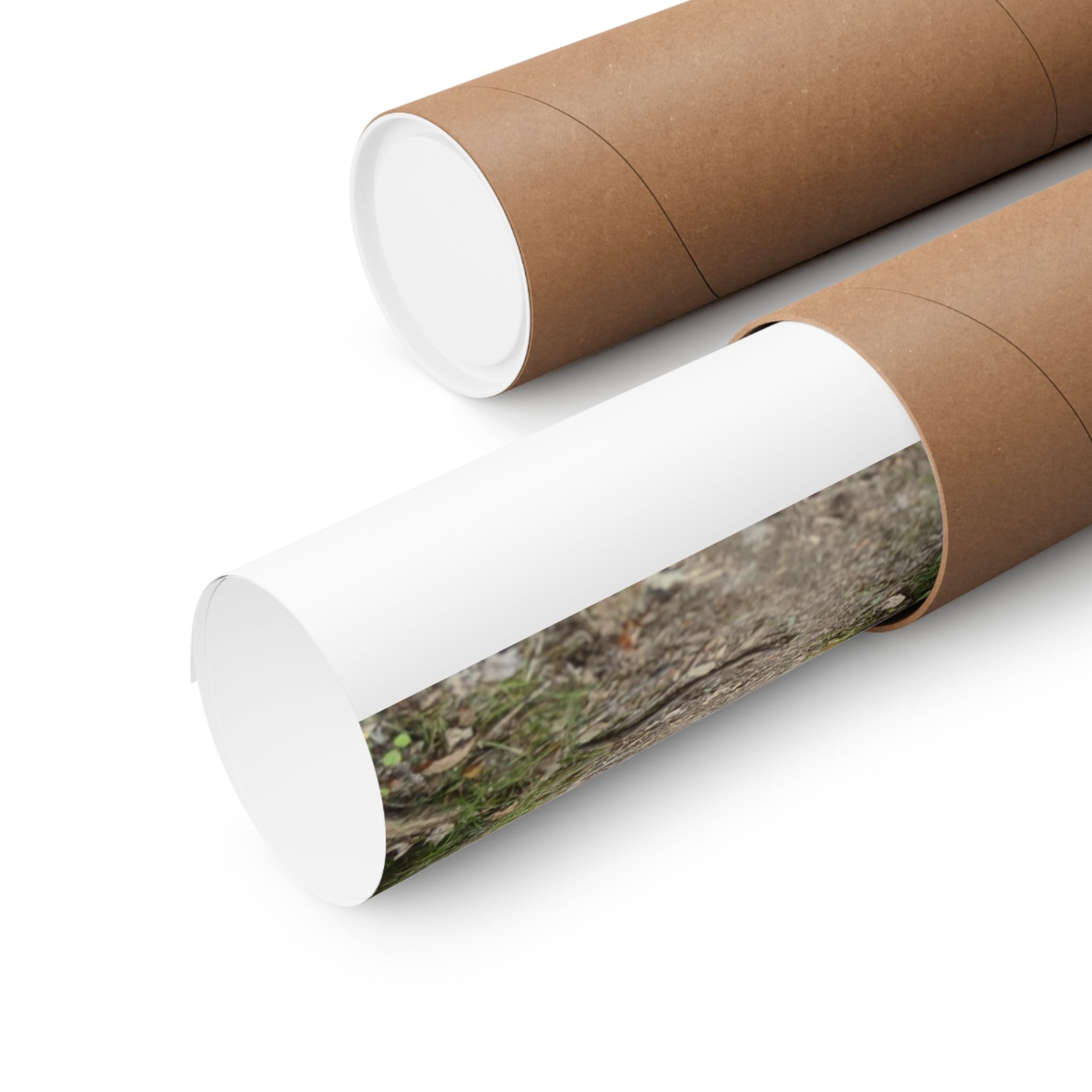 Forest Trail Matte Poster — Green Woodland Nature Photography