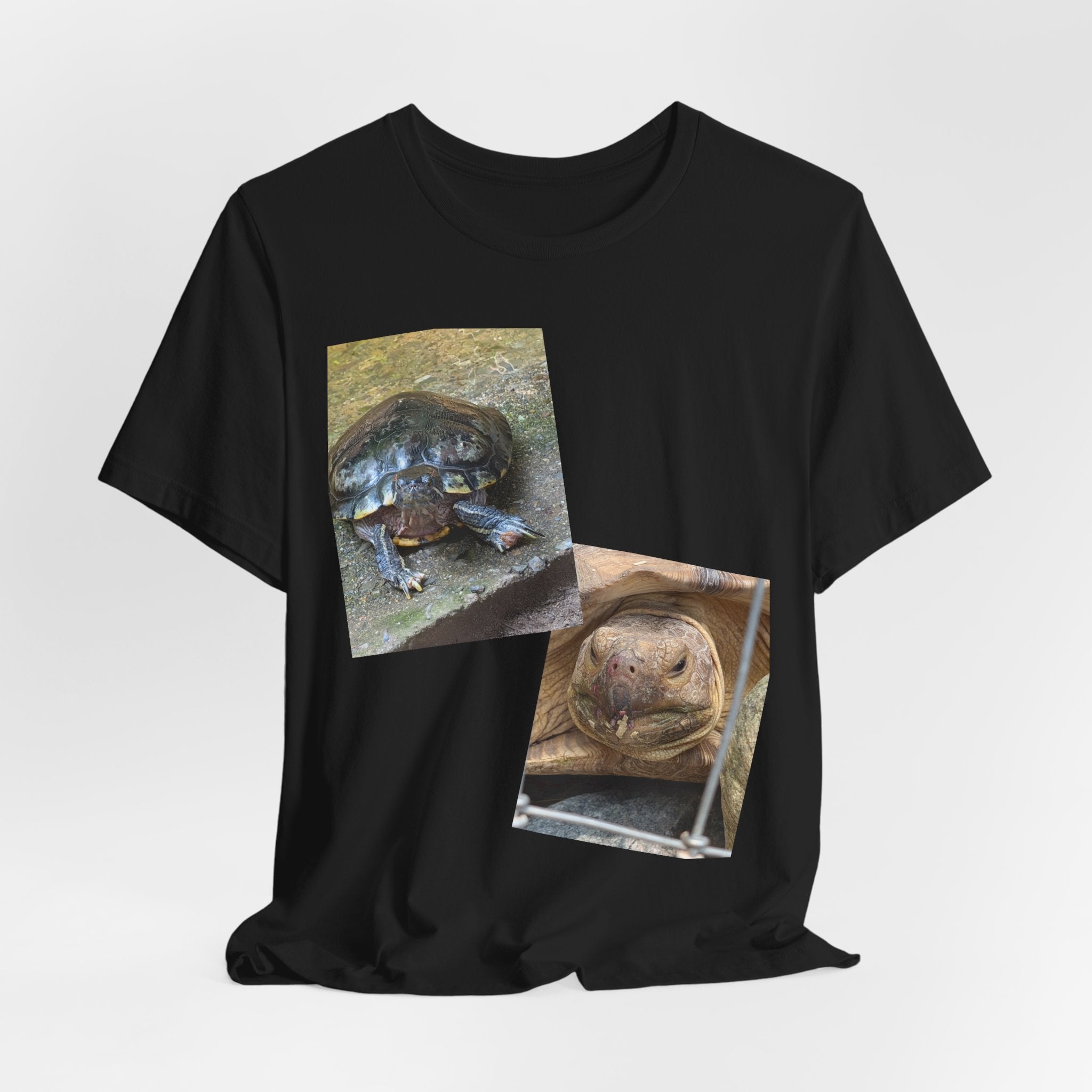 Turtle Photo Collage Tee — Cute Turtle Lovers T-Shirt