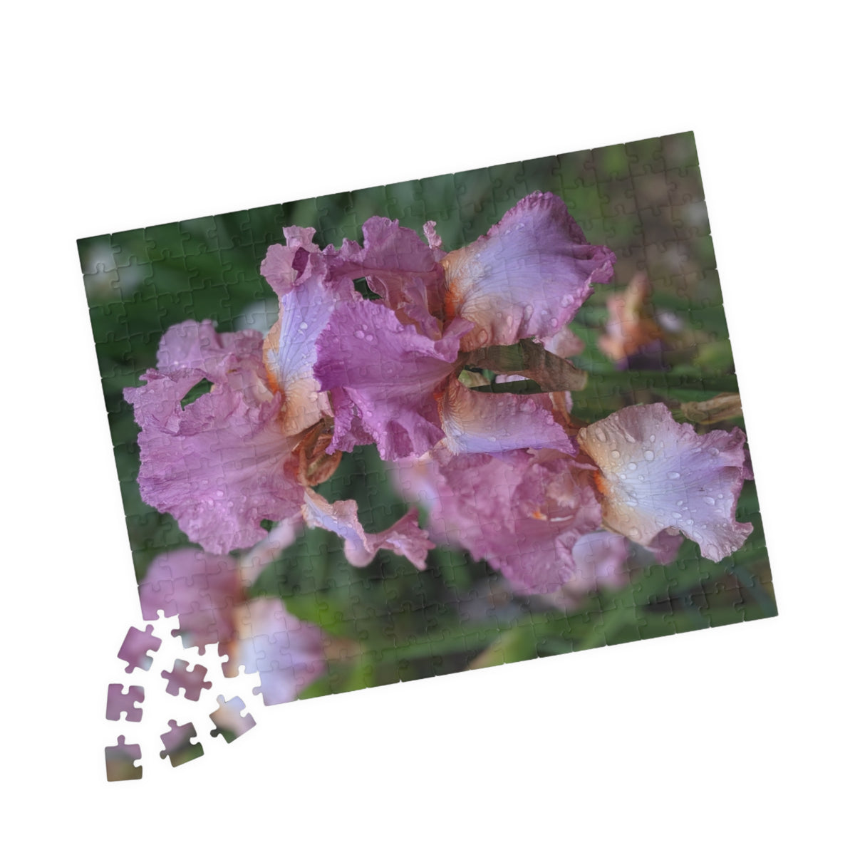 Mauve Iris Nature Photo Jigsaw Puzzle — Floral Photography Gift Set, 110, 252, 520 & 1014 Pieces