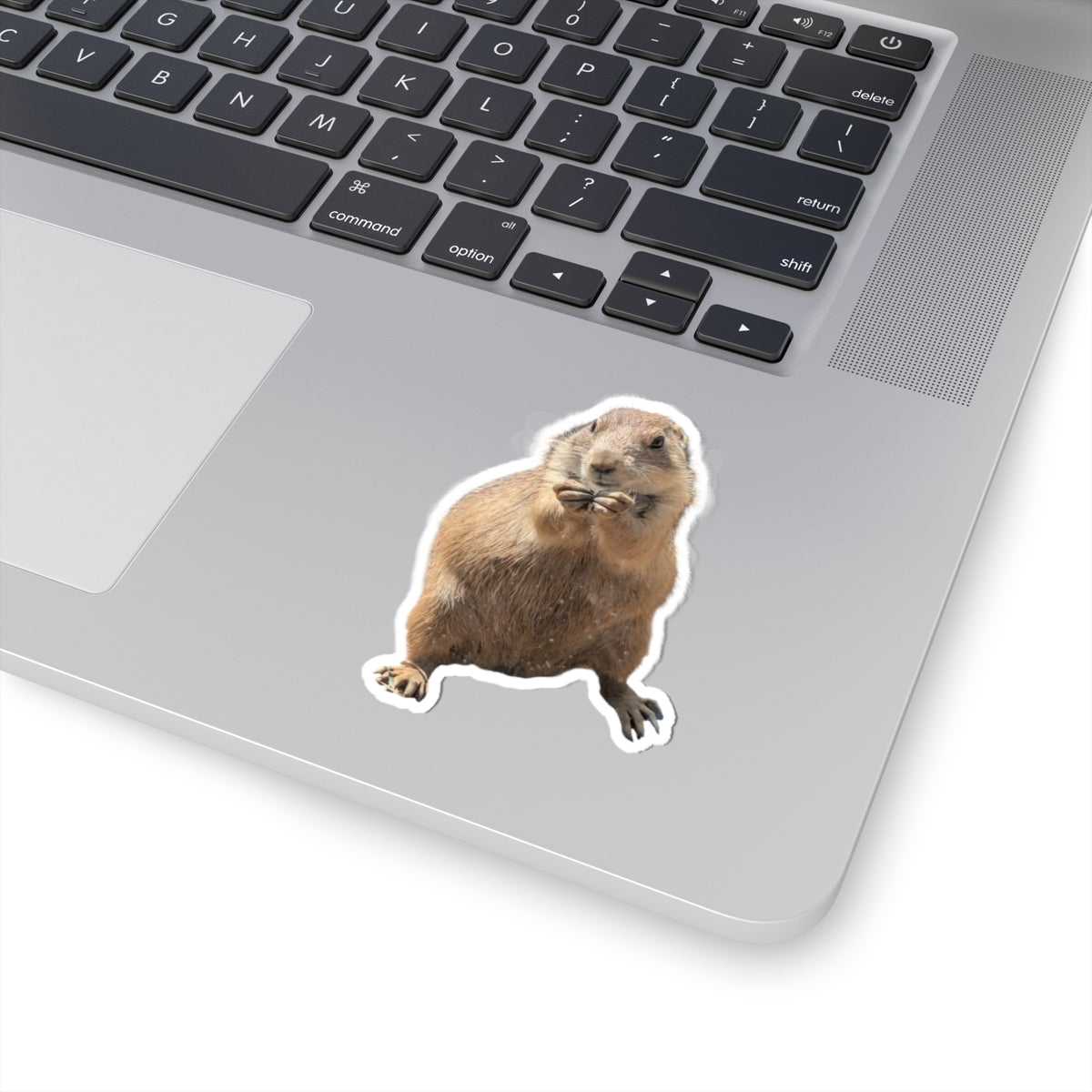Prairie Dog Kiss-Cut Sticker — Cute Wildlife Laptop Decal