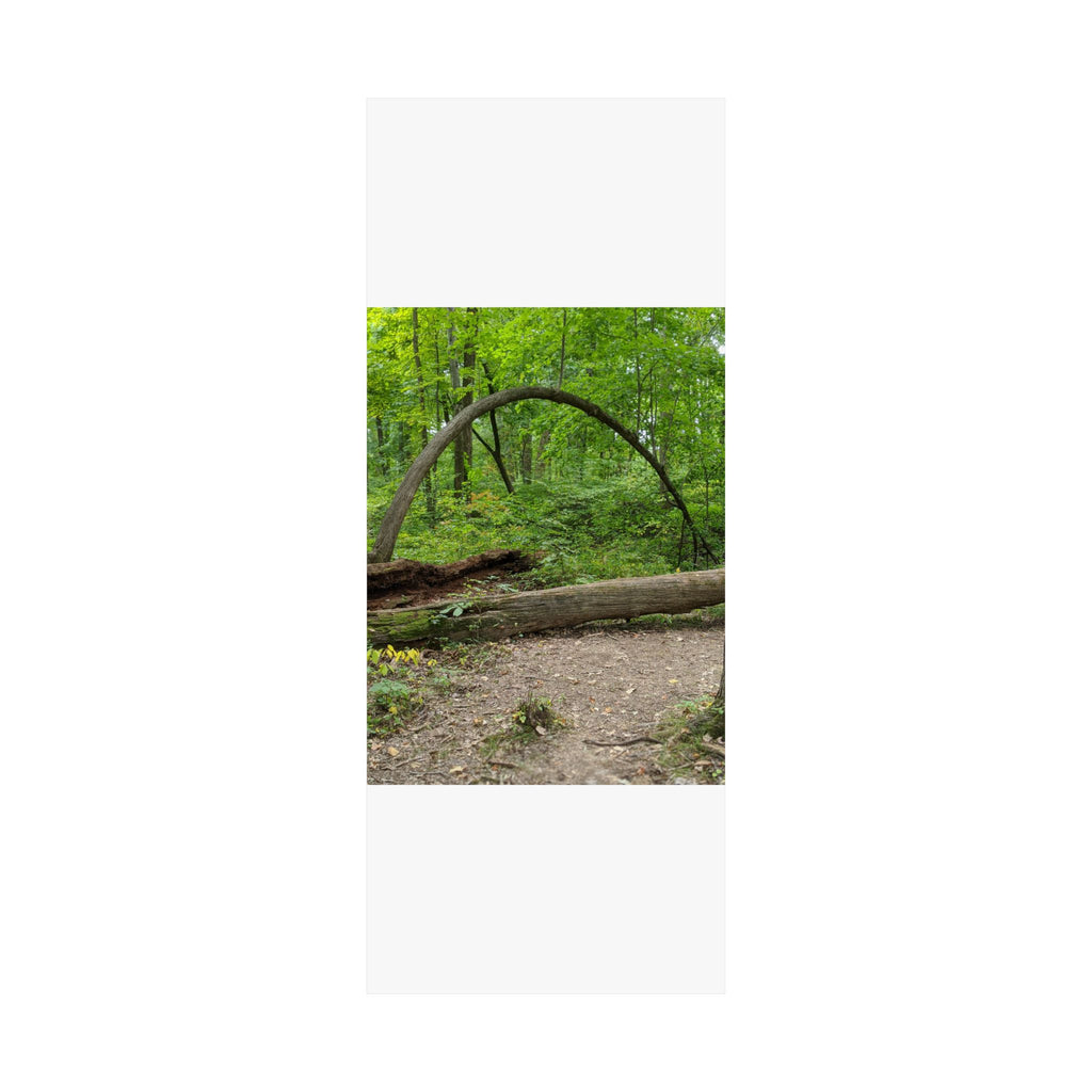 Forest Trail Matte Poster — Green Woodland Nature Photography