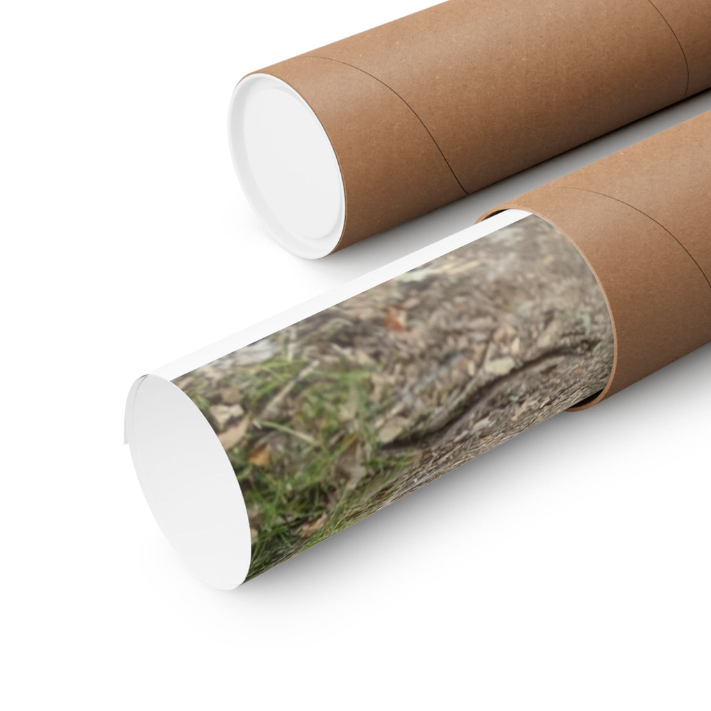 Forest Trail Matte Poster — Green Woodland Nature Photography Wall Art, Hiking Trail Print, 46 Sizes