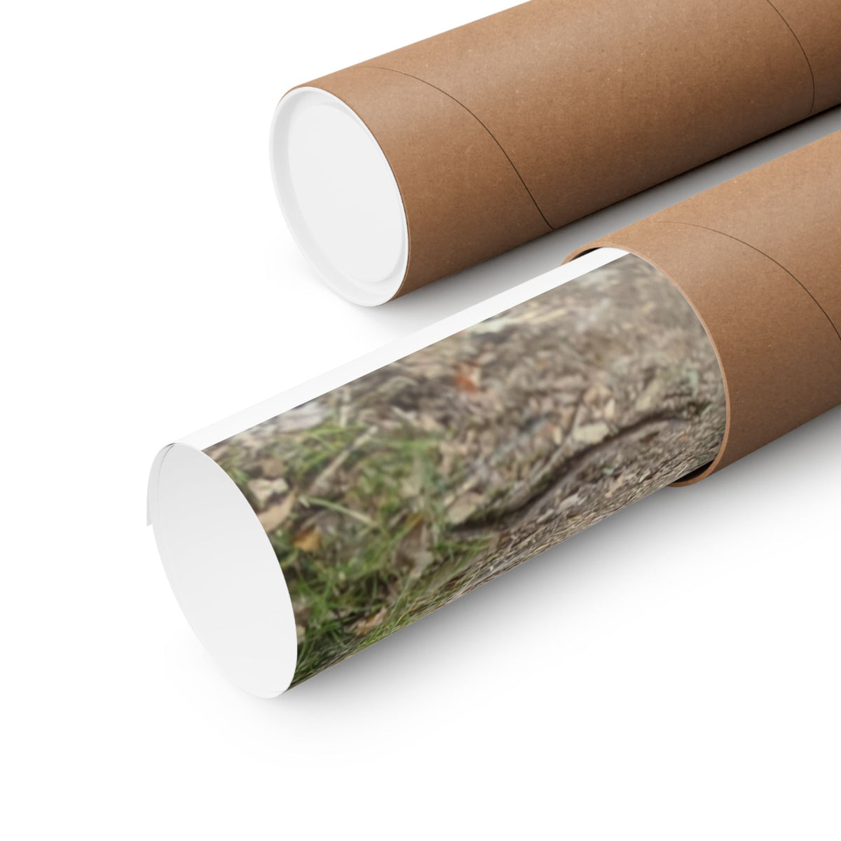 Forest Trail Matte Poster — Green Woodland Nature Photography Wall Art, Hiking Trail Print, 46 Sizes