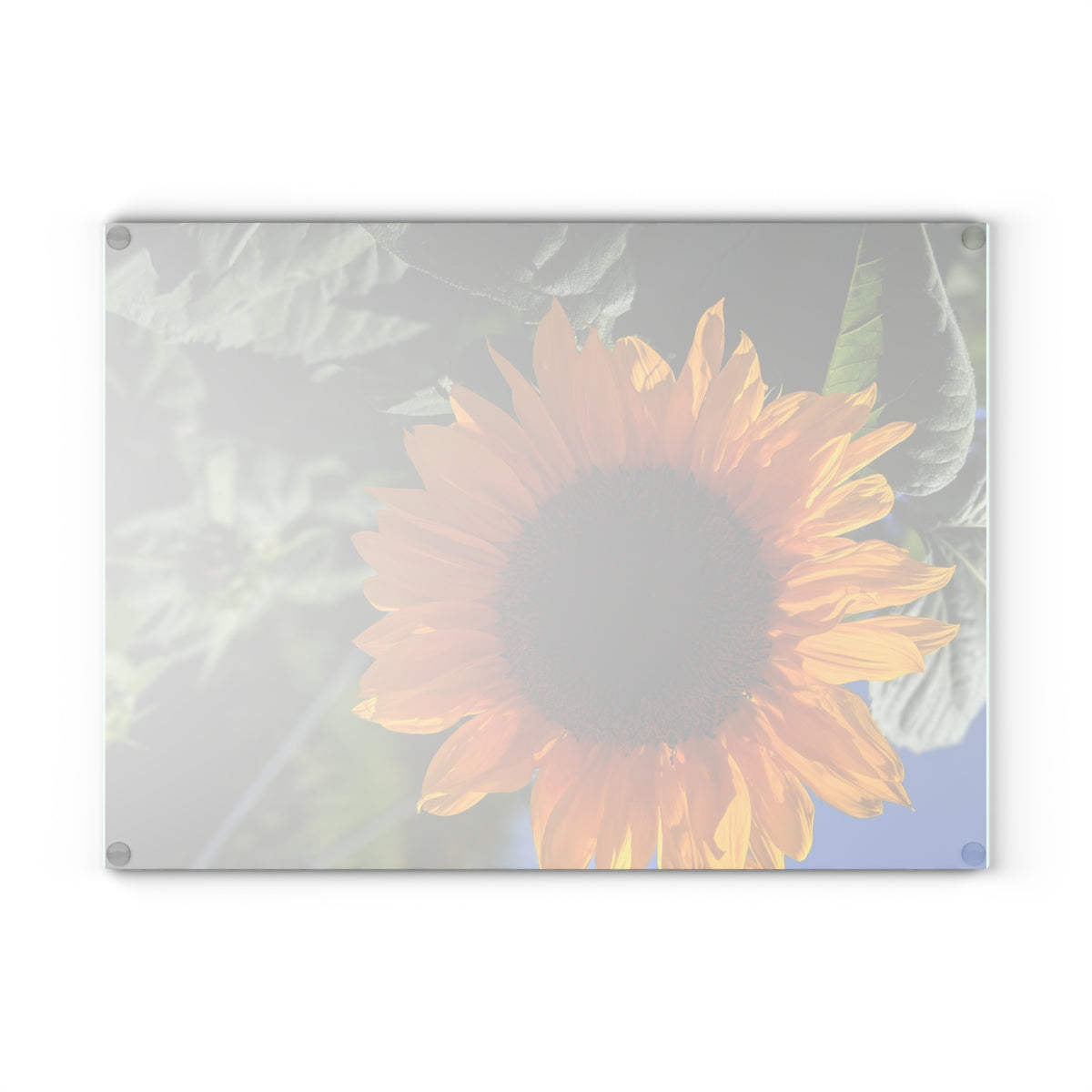 Sunflower Glass Cutting Board — Floral Kitchen Decor, Tempered Glass Chopping Board, Gardener Gift