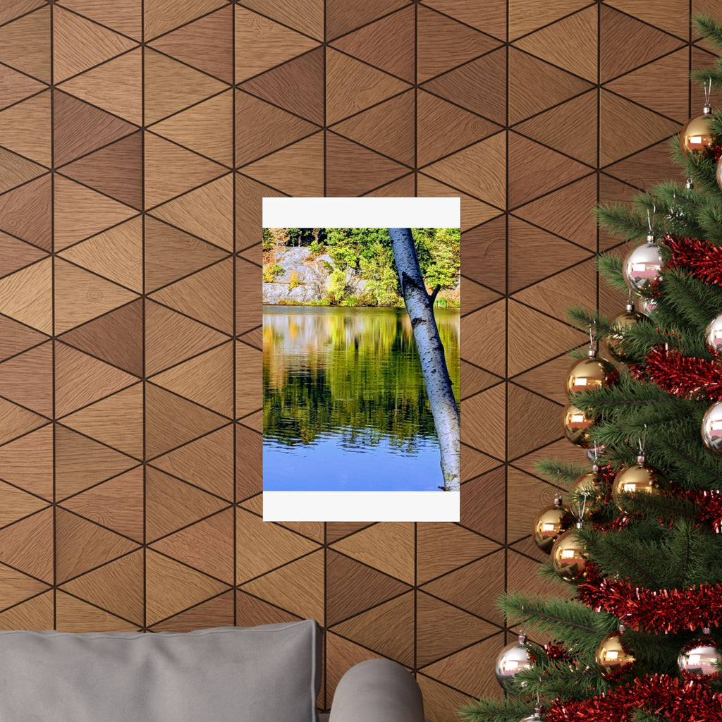 Birch Lake Reflection Matte Poster — Vertical Nature Wall Art