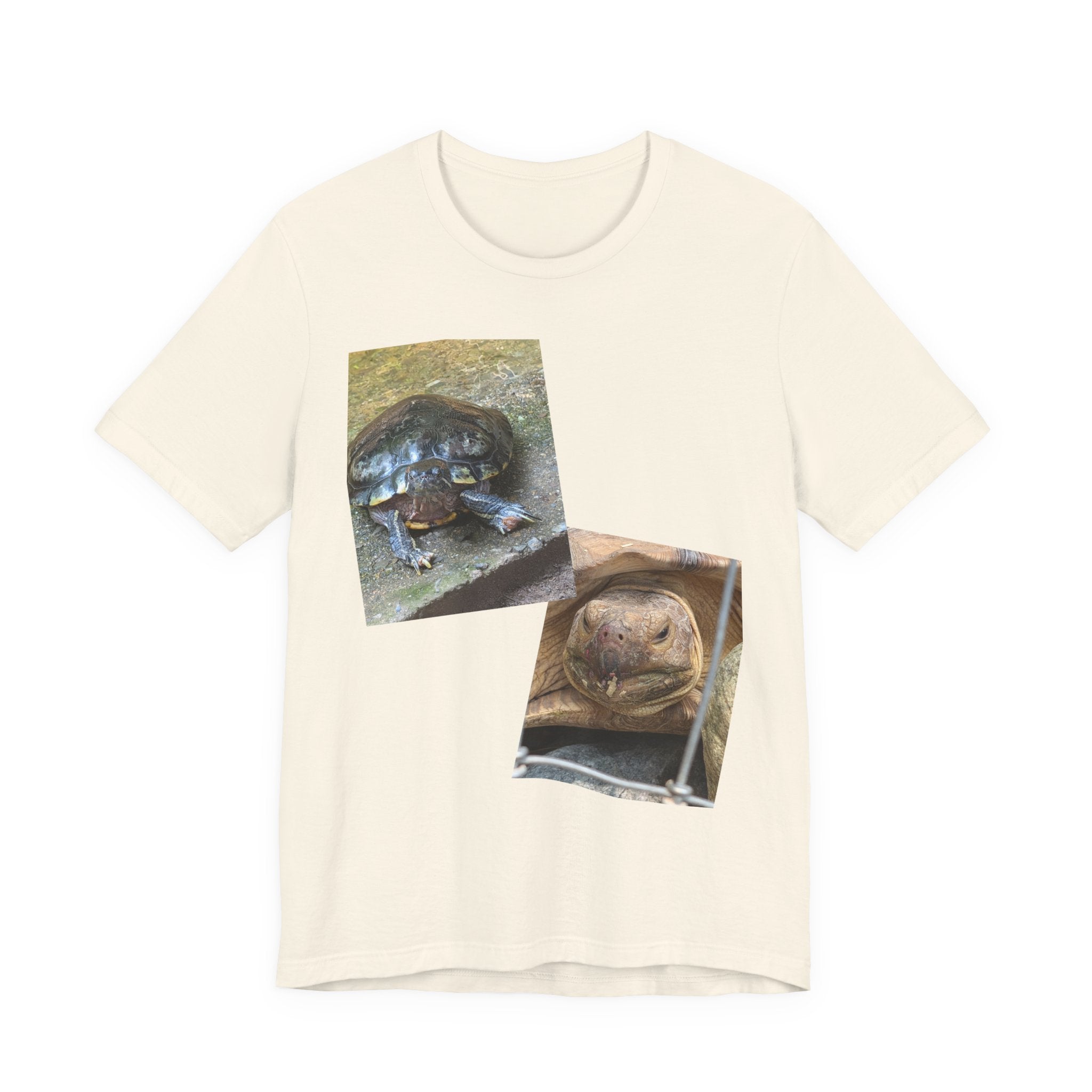 Turtle Photo Collage Tee — Cute Turtle Lovers T-Shirt