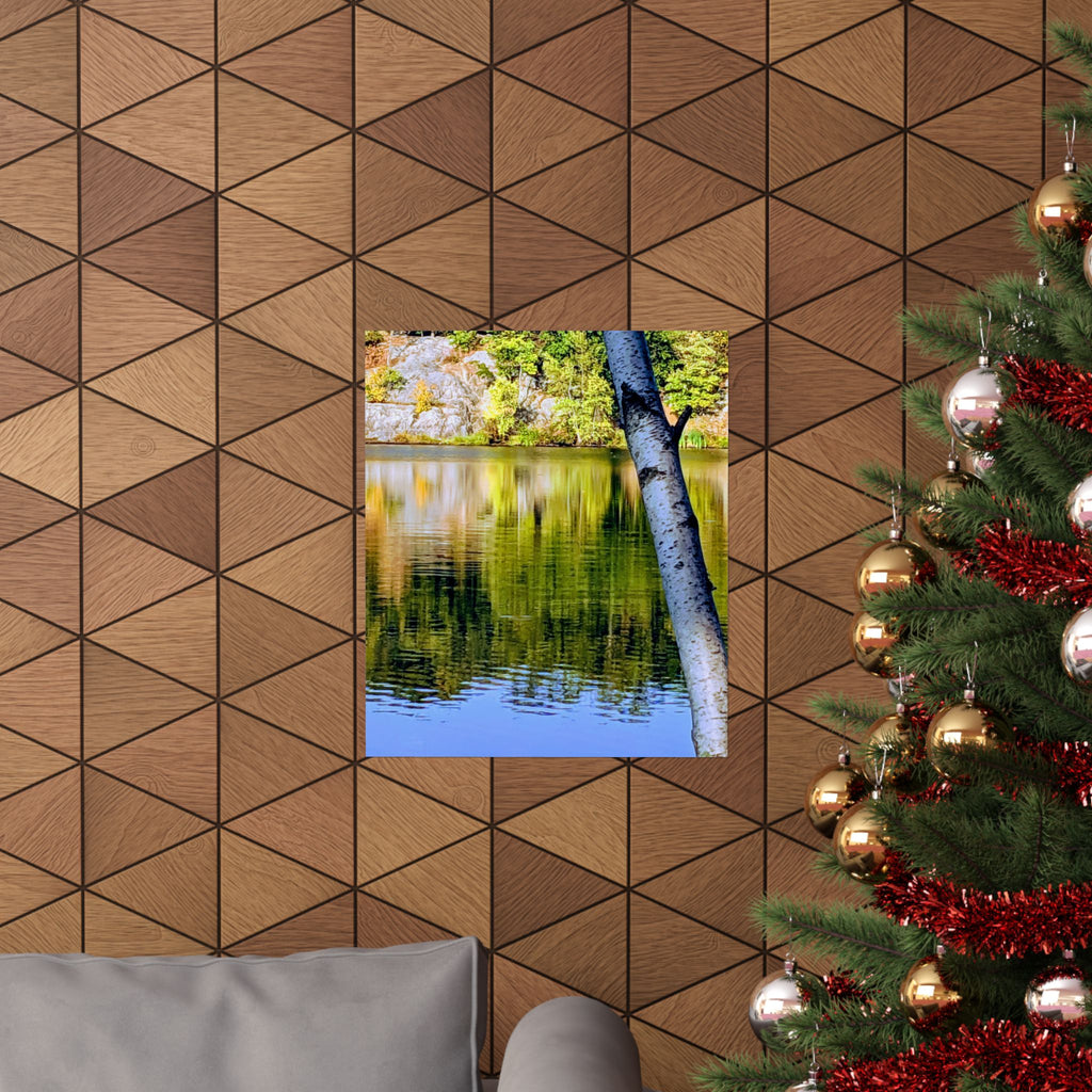 Birch Lake Reflection Matte Poster — Vertical Nature Wall Art