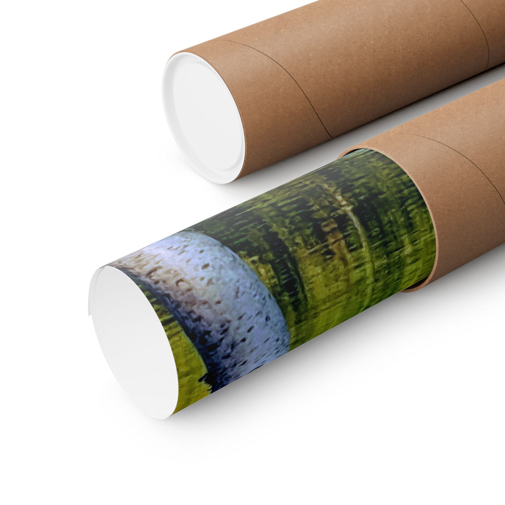 Birch Lake Reflection Matte Poster — Vertical Nature Wall Art