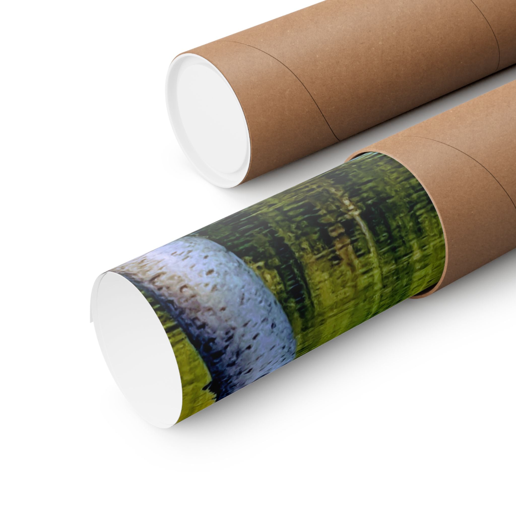 Birch Lake Reflection Matte Poster — Vertical Nature Wall Art