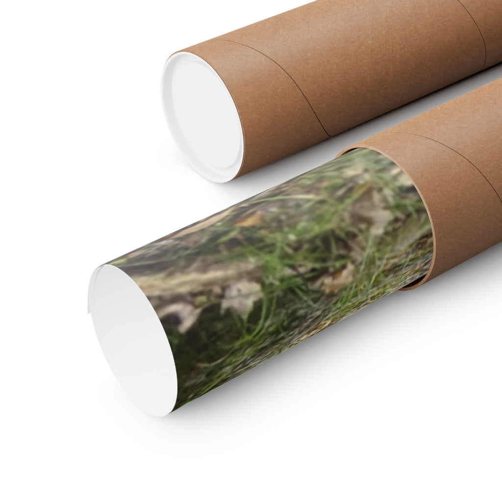 Forest Trail Matte Poster — Green Woodland Nature Photography
