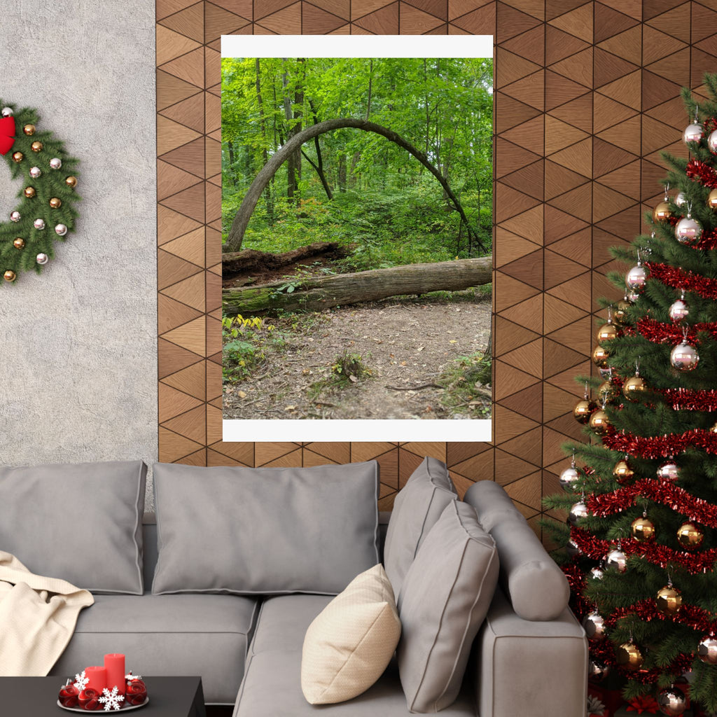 Forest Trail Matte Poster — Green Woodland Nature Photography