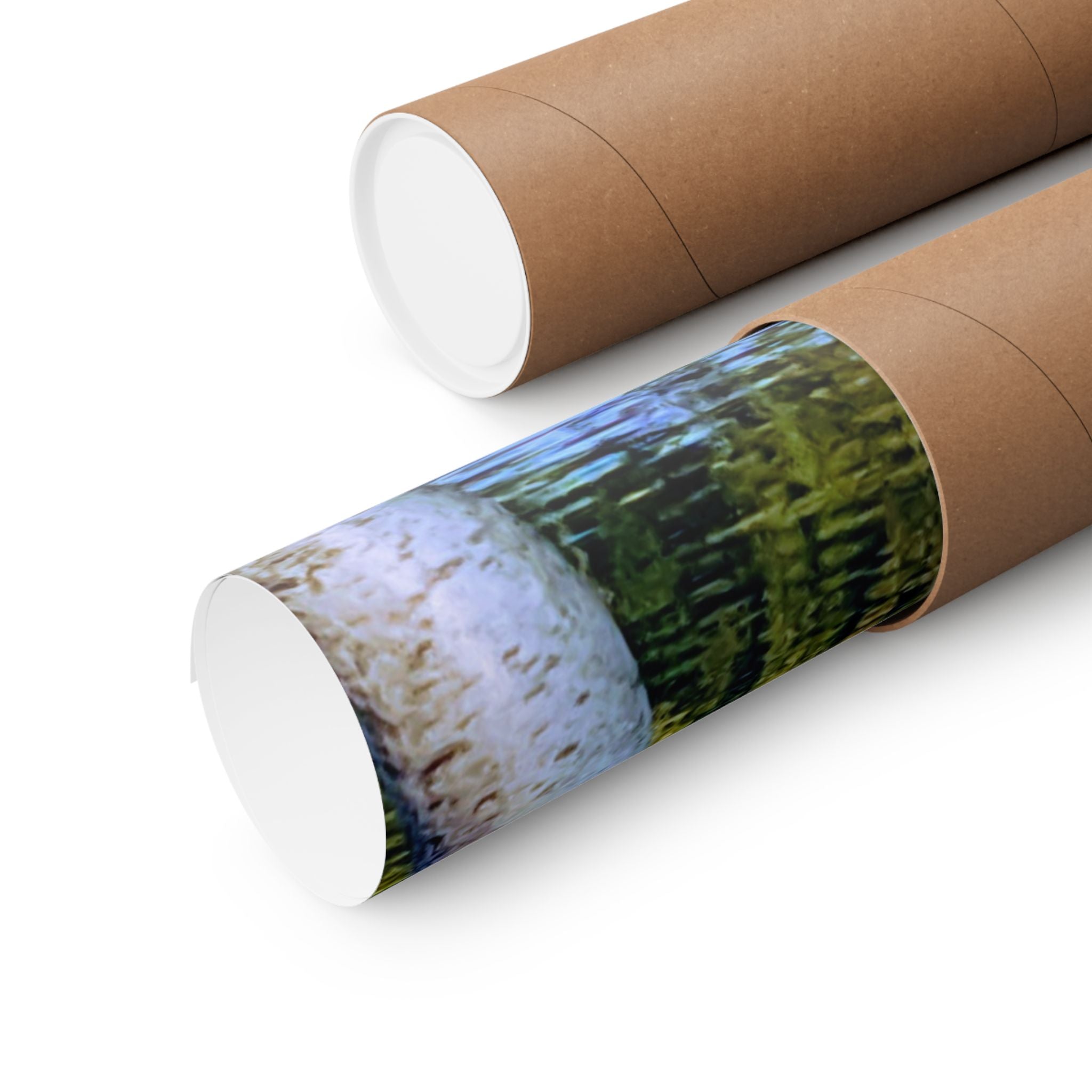 Birch Lake Reflection Matte Poster — Vertical Nature Wall Art
