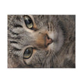 Puzzle (110, 252, 520, 1014-piece)