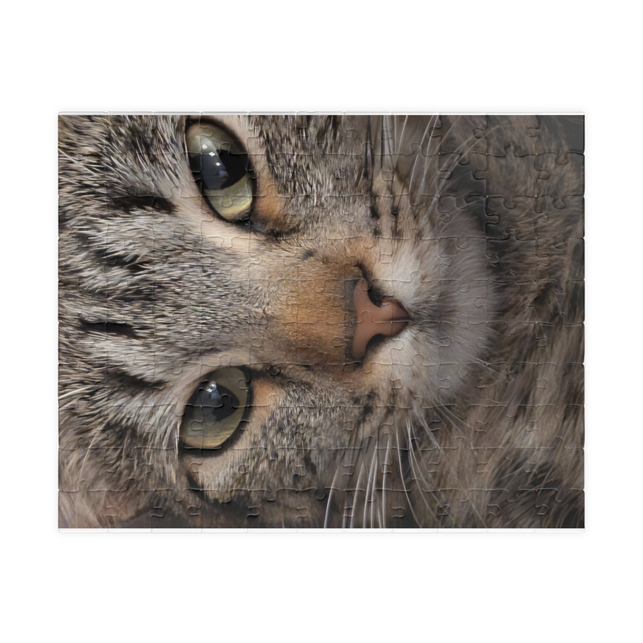 Puzzle (110, 252, 520, 1014-piece)