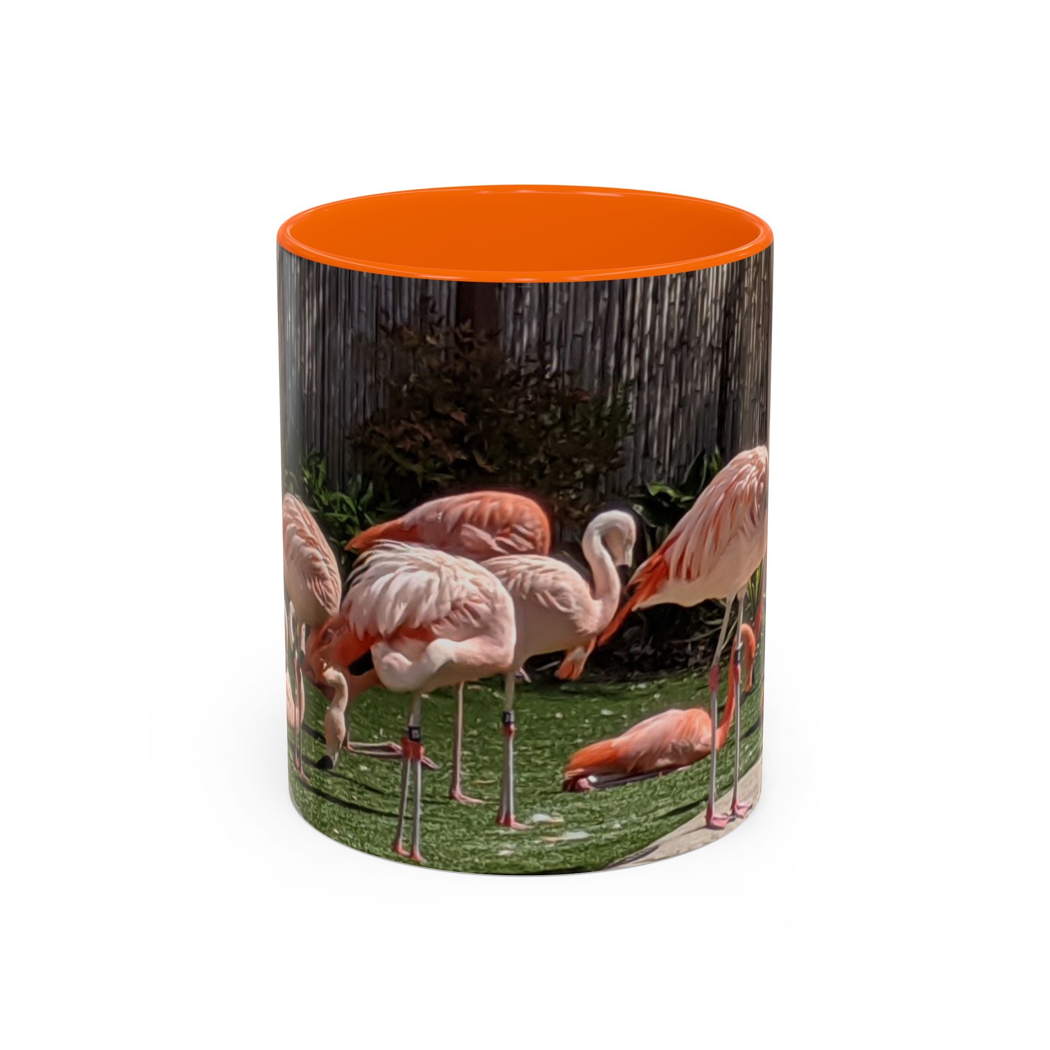 Flamingo Flock Accent Coffee Mug — Tropical Pink Bird Photo (11/15 oz)