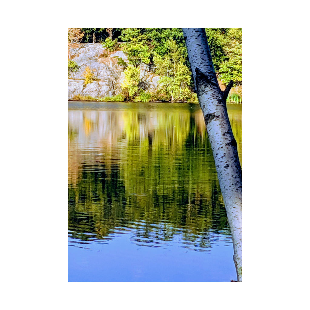 Birch Lake Reflection Matte Poster — Nature Photography Wall Art, Woodland Landscape Print, 46 Sizes