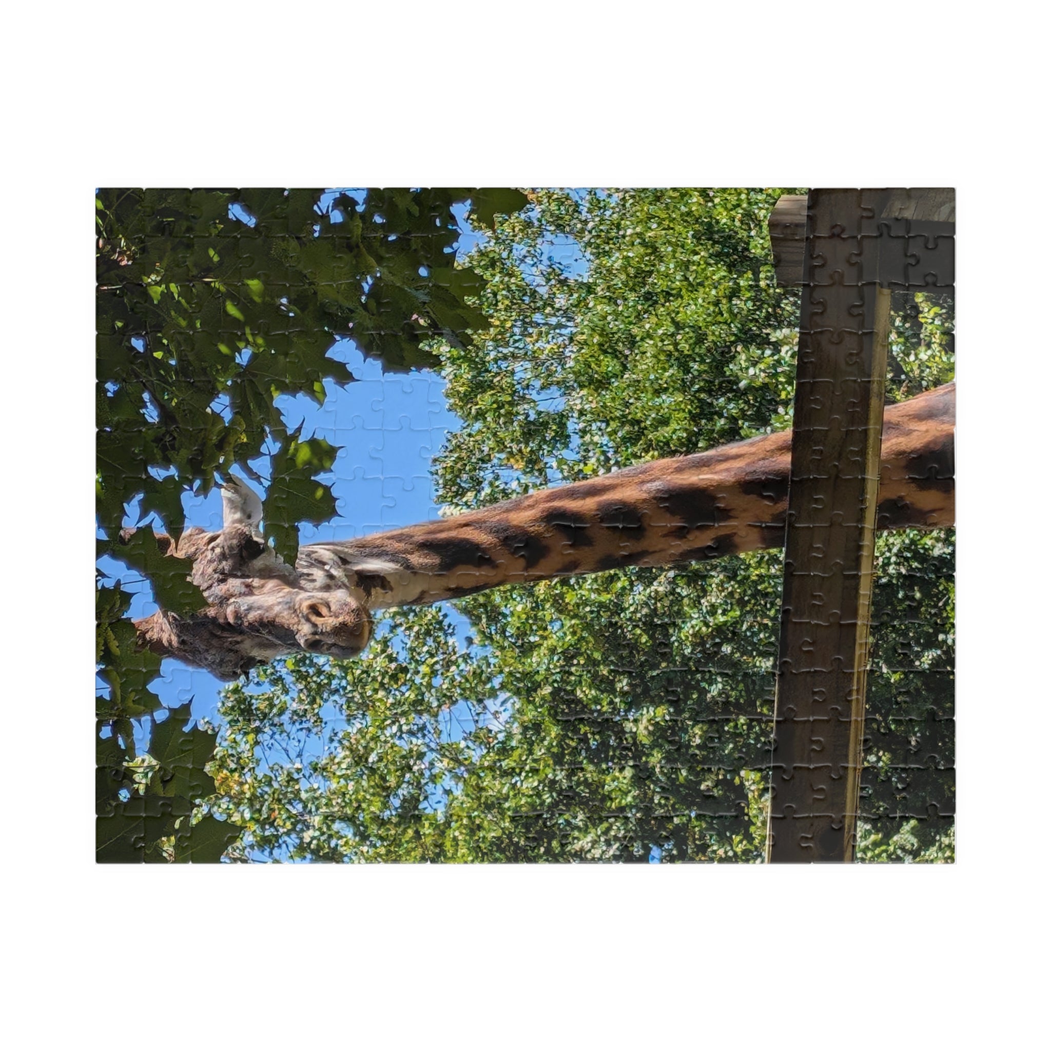 Giraffe Nature Photo Jigsaw Puzzle — Wildlife & Floral Photography Gift Set (110, 252, 520, 1014-piece)