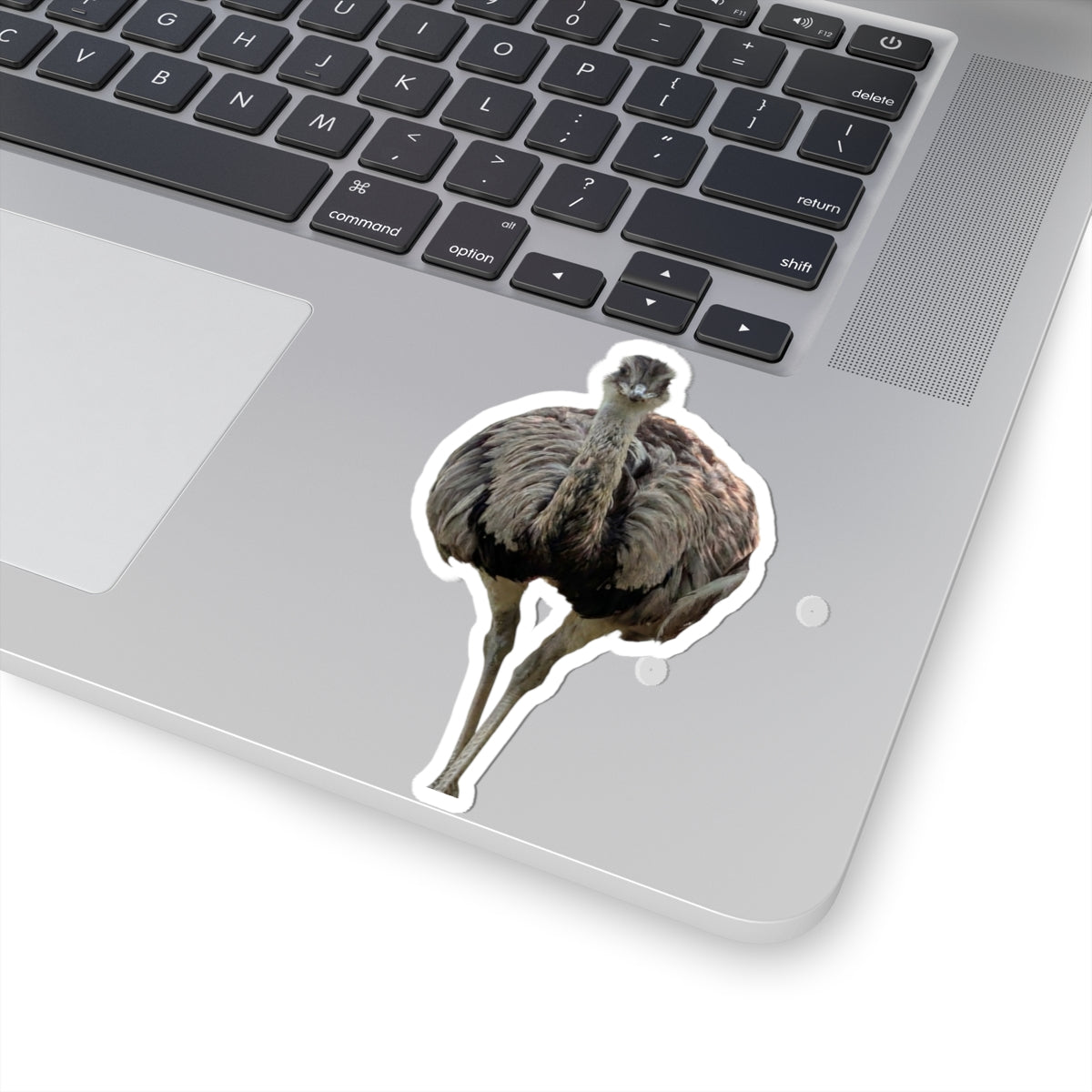 Ostrich Kiss-Cut Sticker — Realistic Bird Laptop Decal