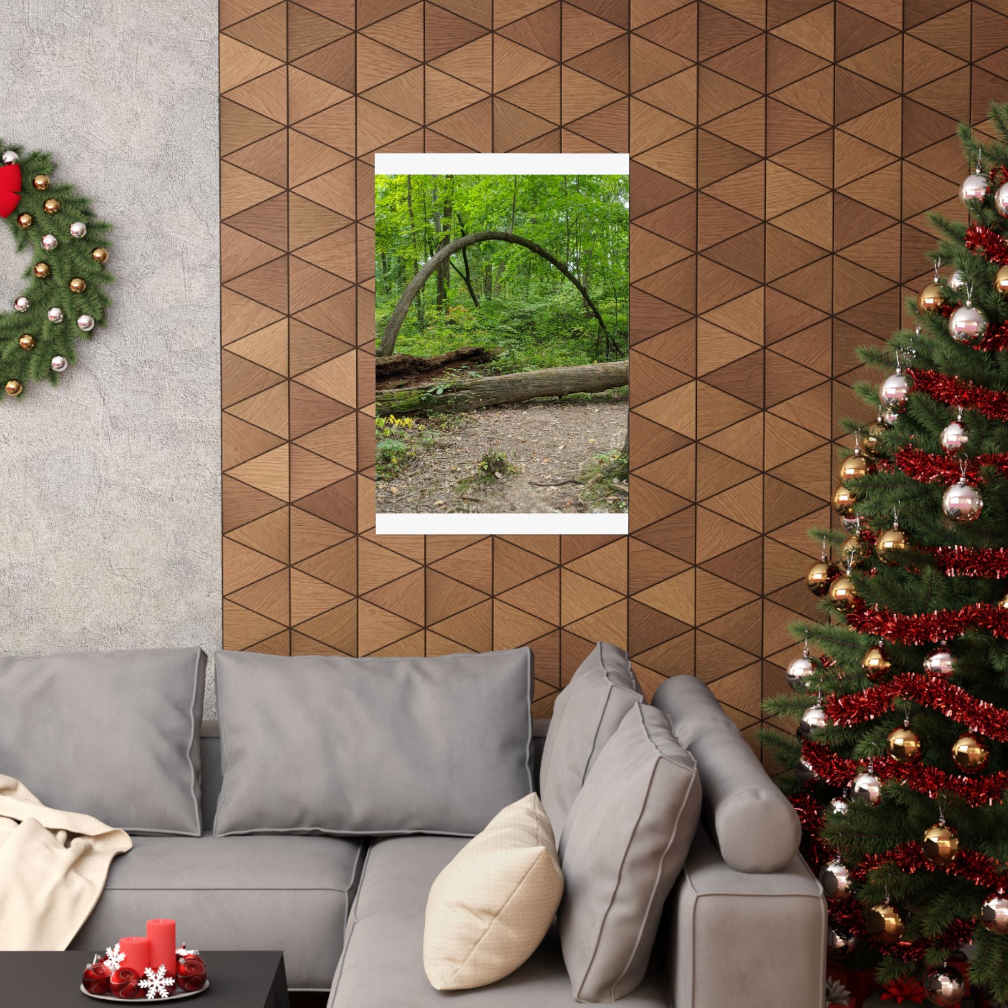 Forest Trail Matte Poster — Green Woodland Nature Photography