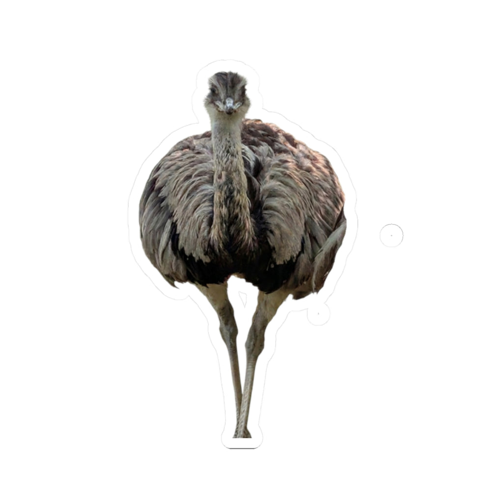 Ostrich Kiss-Cut Sticker — Realistic Bird Laptop Decal
