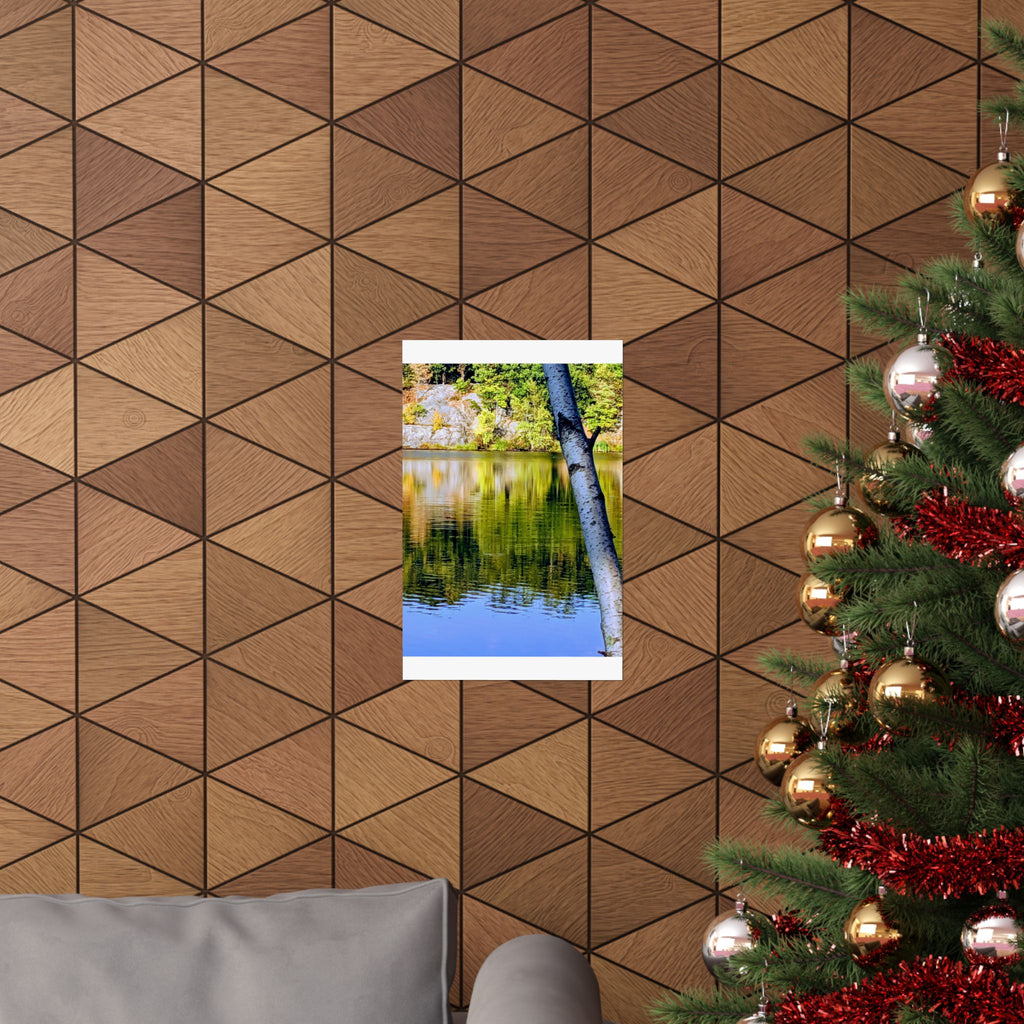 Birch Lake Reflection Matte Poster — Vertical Nature Wall Art