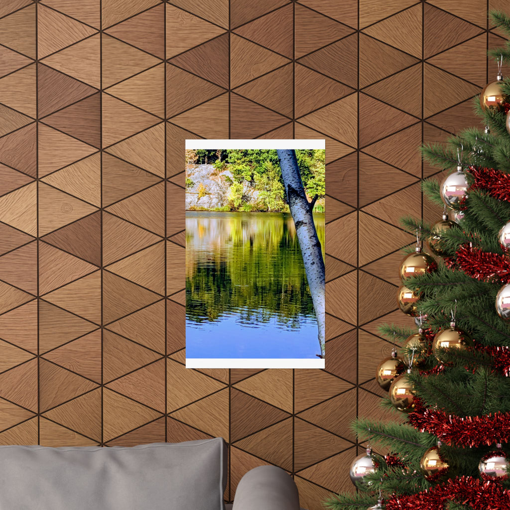 Birch Lake Reflection Matte Poster — Nature Photography Wall Art, Woodland Landscape Print, 46 Sizes